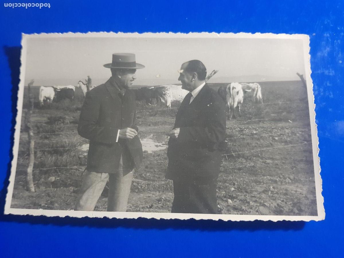 Tauromaquia: MIURAS,Y GANADEROS EN EL CAMPO - Foto 1