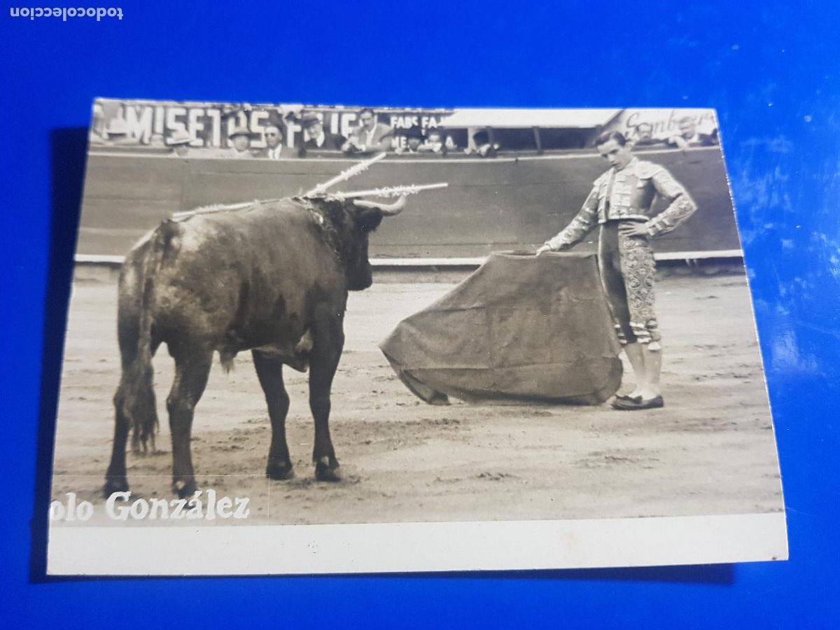 Tauromaquia: MANOLO GONZALEZ-SEVILLA - Foto 1