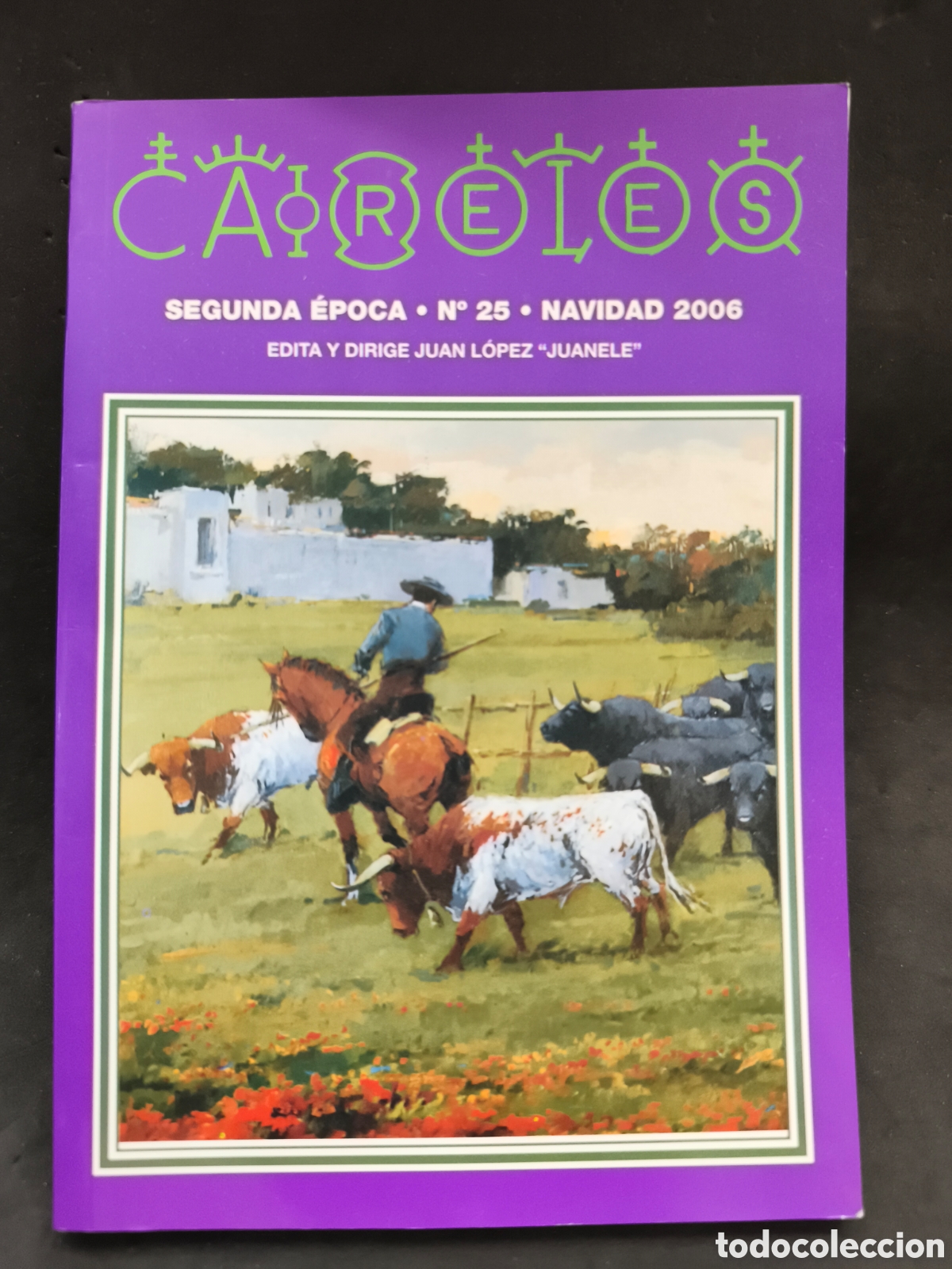 Tauromaquia: Caireles, navidad 2006 , Juanele - Foto 1