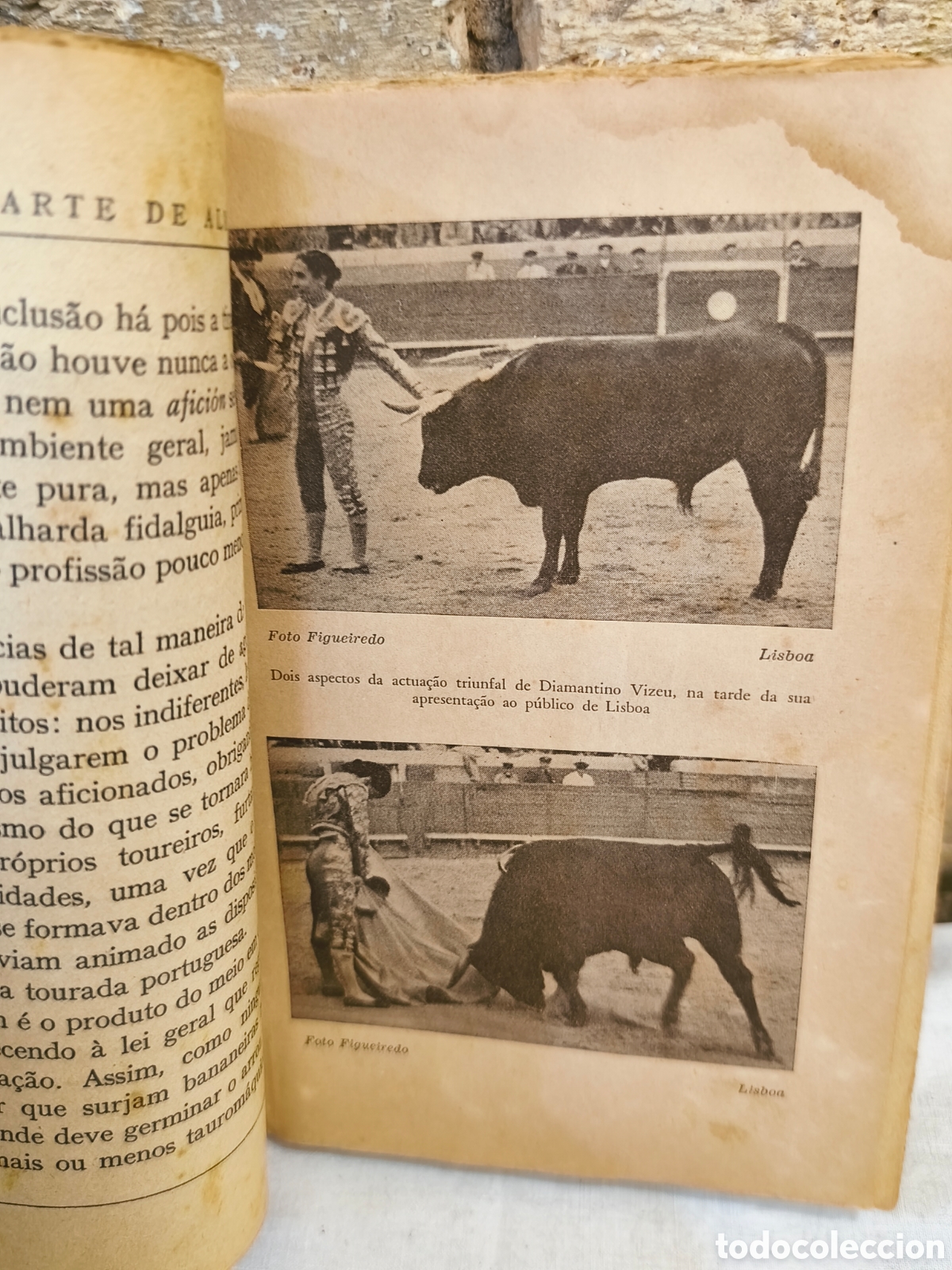 Tauromaquia: Diamantino Vizeu 1947 - Foto 3