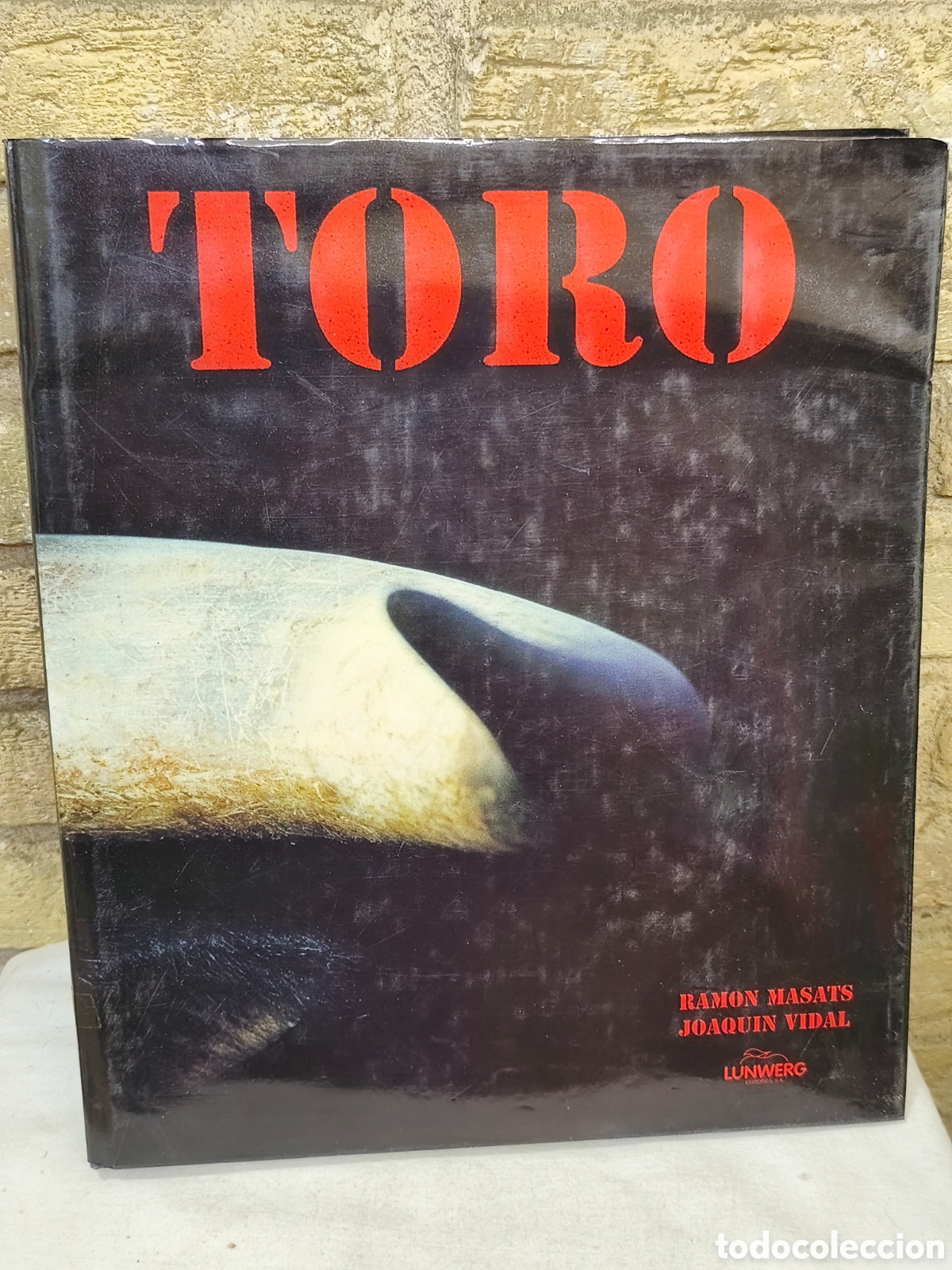 Stierkampf: Toro Ram&oacute;n Masats Joaqu&iacute;n Vidal