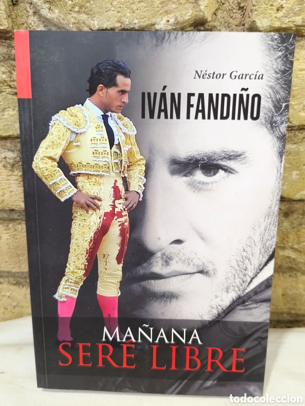 Bullfighting: Iv&aacute;n Fadi&ntilde;o, ma&ntilde;ana ser&eacute; libre