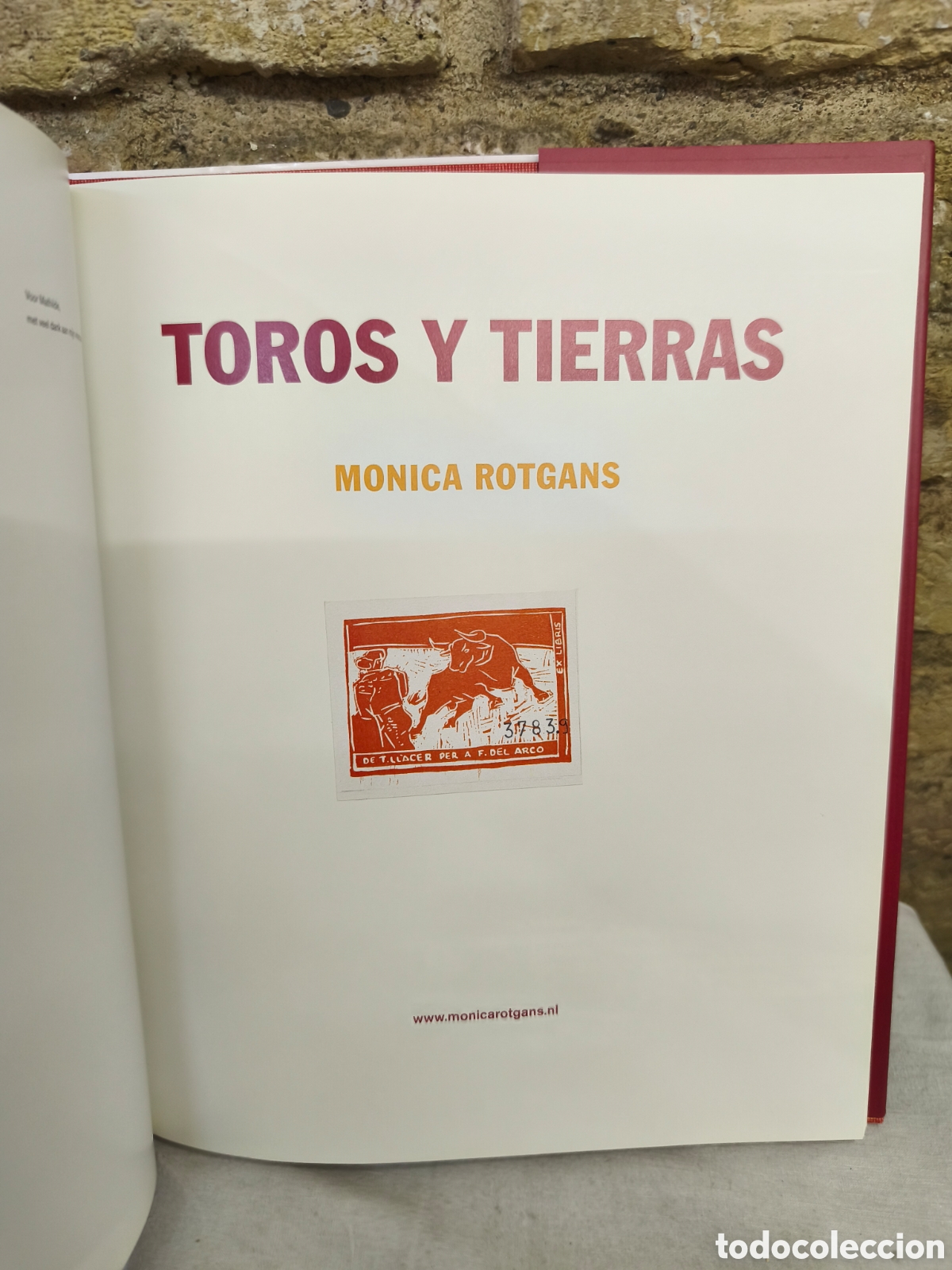 Tauromaquia: TOROS Y TIERRAS . MONICA ROTGANS - Foto 2