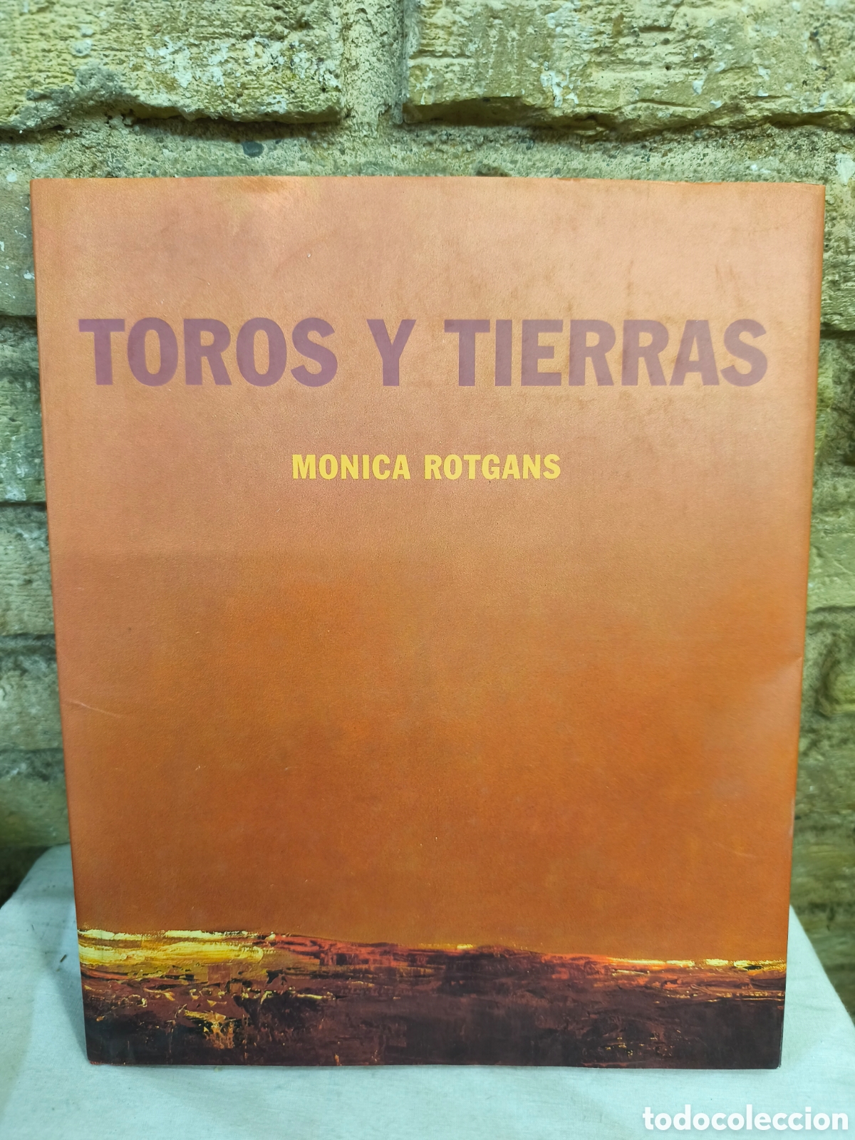 Tauromachie: TOROS Y TIERRAS . MONICA ROTGANS