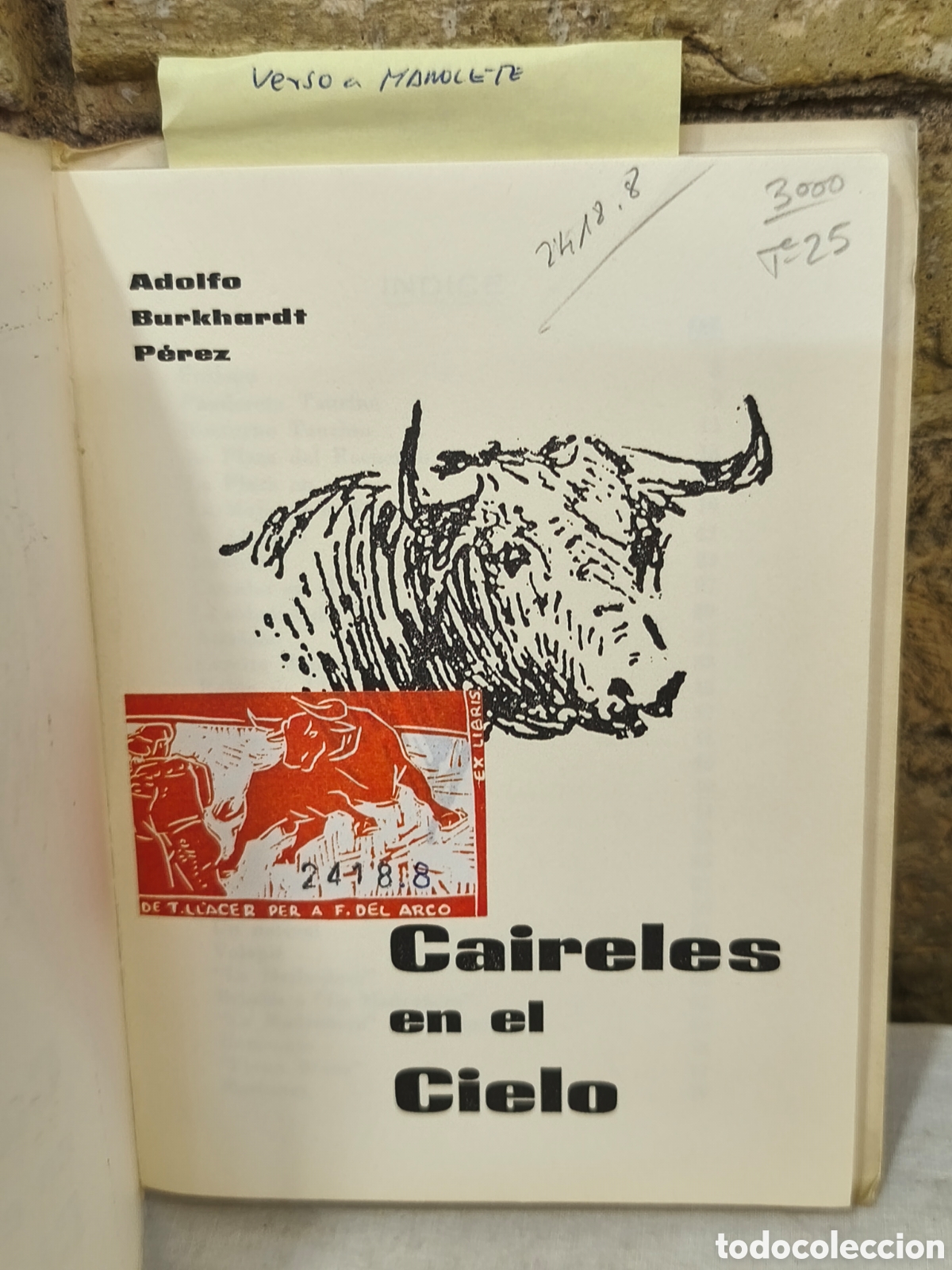 Tauromaquia: Caireles en el Cielo - Foto 2