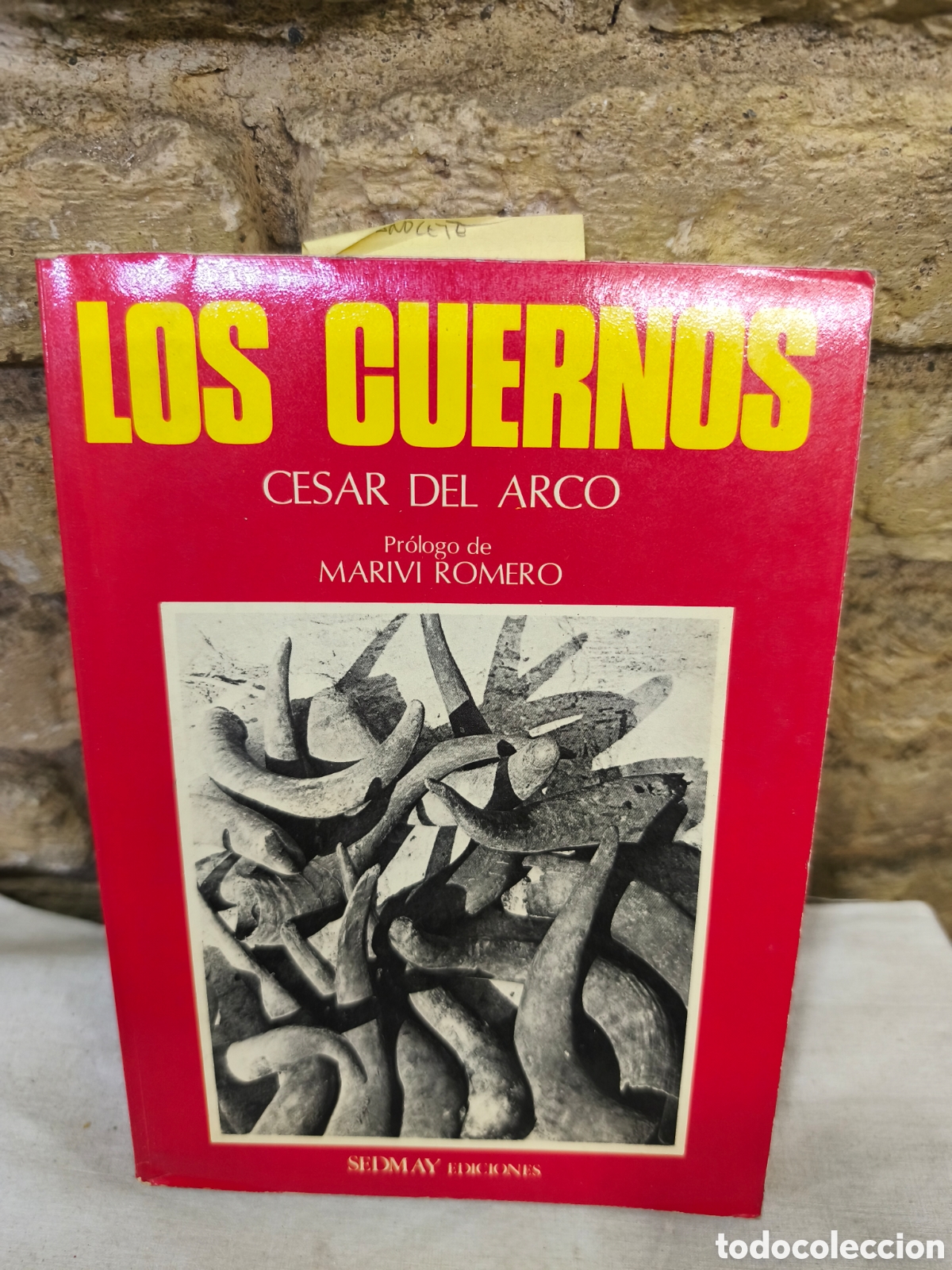 Tauromaquia: LOS CUERNOS CESAR DEL ARCO - Foto 1