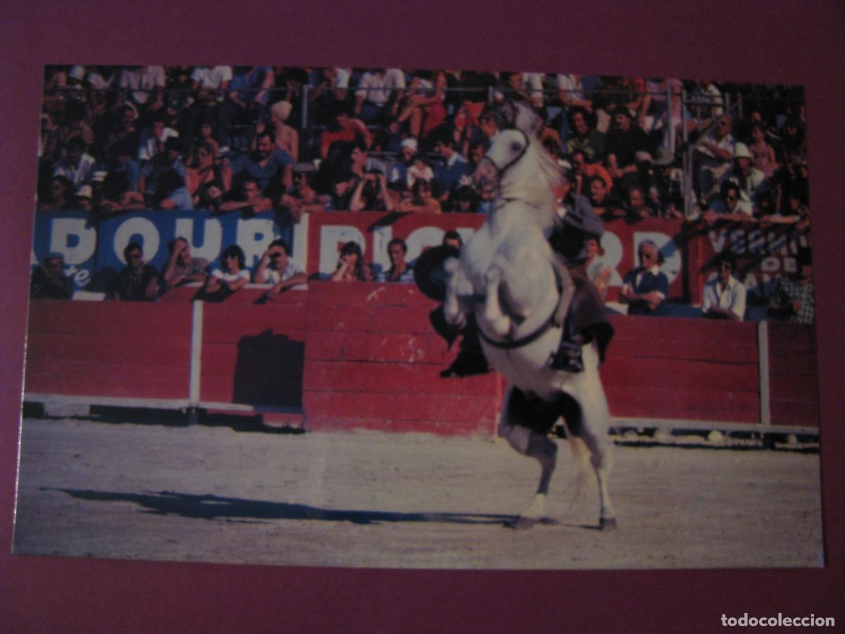 Tauromaquia: POSTAL DE ANGEL PERALTA. TARDE DE TOROS. - Foto 1