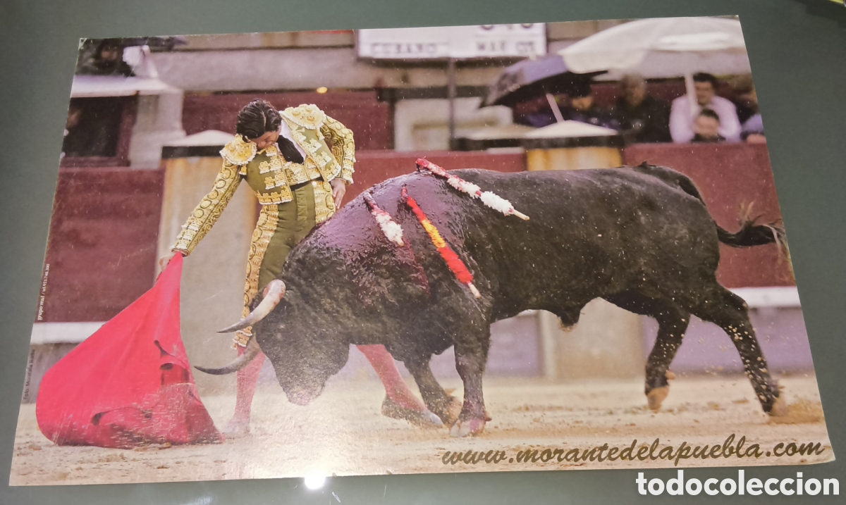 Tauromaquia: Fotograf&iacute;a Morante de la Puebla