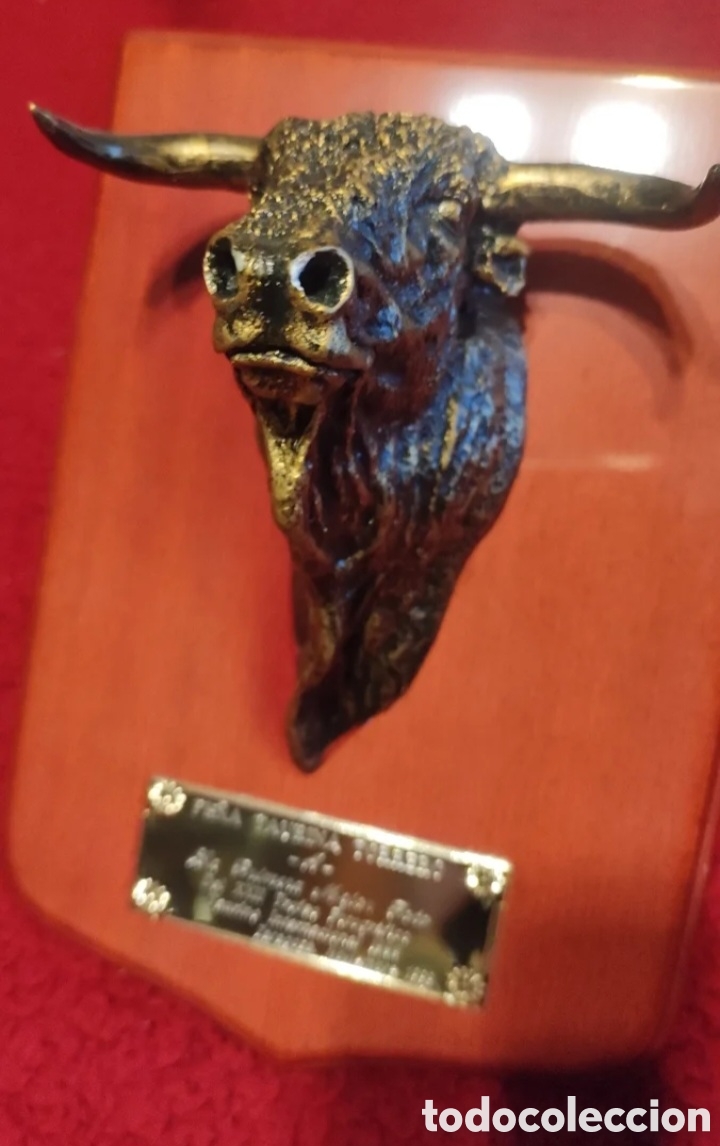 Tauromaquia: Trofeo metopa fotograf&iacute;a taurina