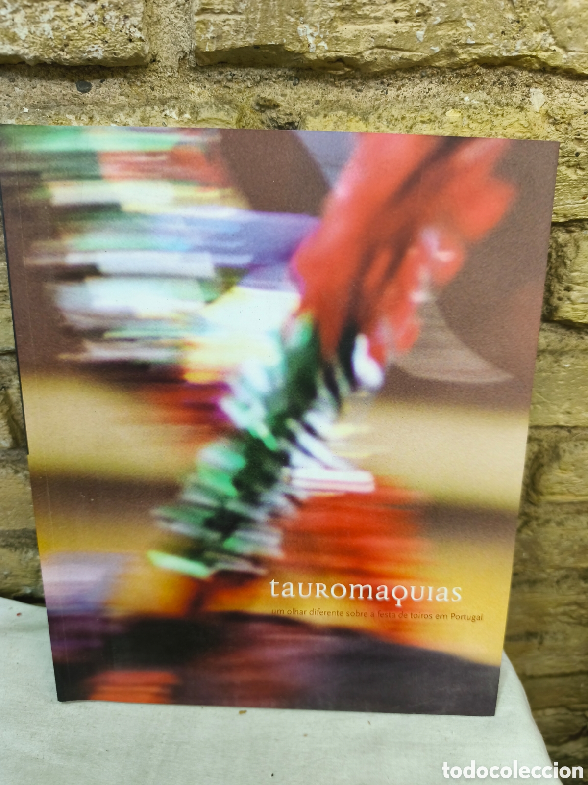 Tauromaquia: tauRomaouias um olhar diferente sobre a festa de toiros em Portugal