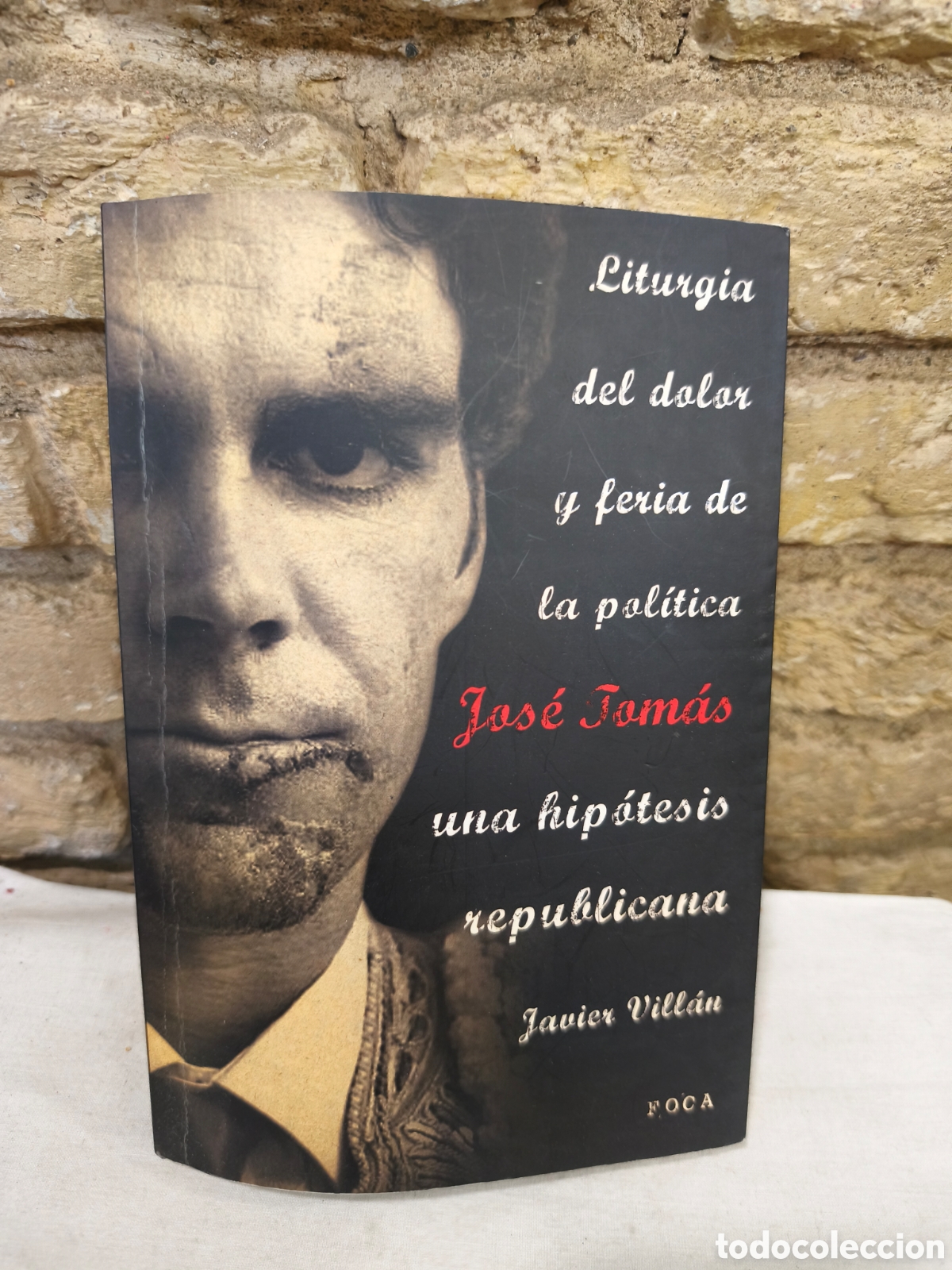 Tauromaquia: Litungia del dolot y feria de la politica Jas&eacute; Tomas una hipitesis republicana