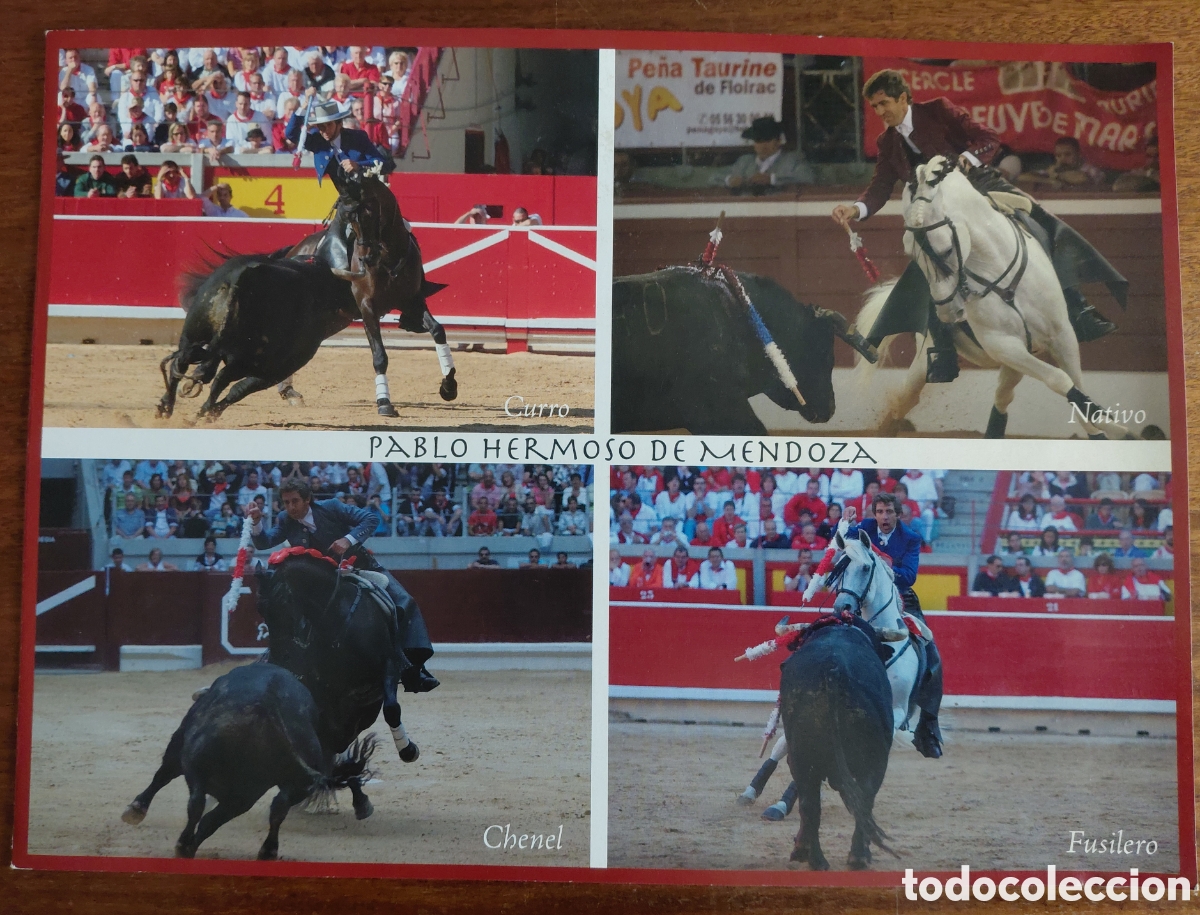 Tauromaquia: Foto d&iacute;ptico rejoneador Pablo Hermoso de Mendoza y sus caballos.
