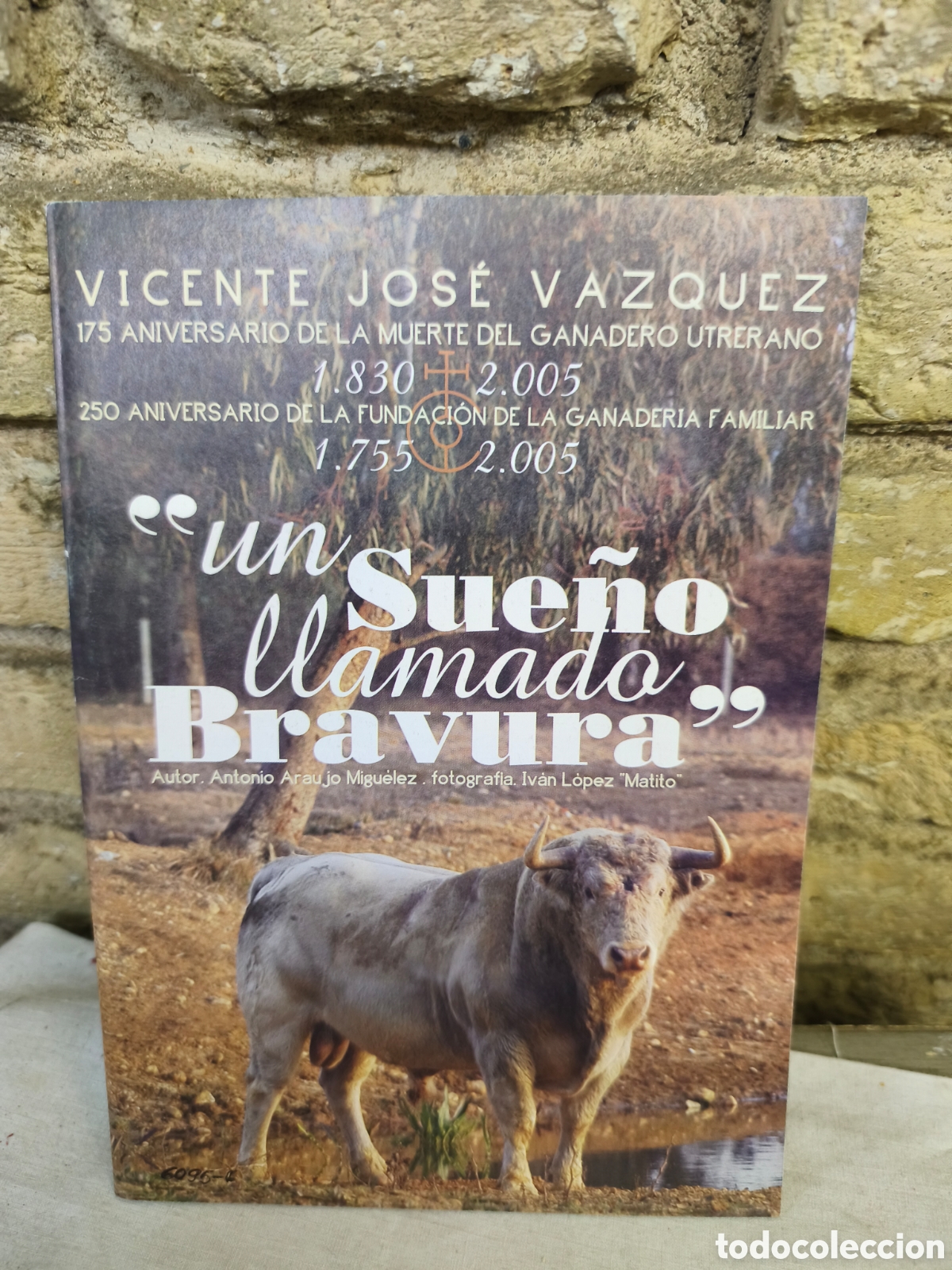 Tauromaquia: Un sue&ntilde;o llamado bravura