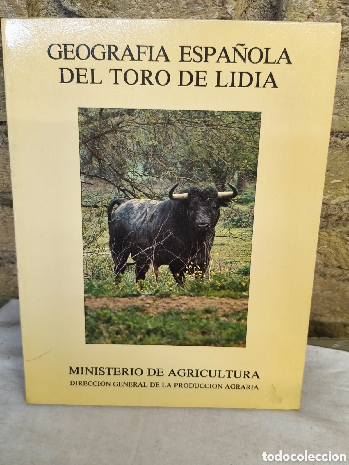 Tauromaquia: GEOGRAFIA ESPA&Ntilde;OLA DEL TORO DE LIDIA