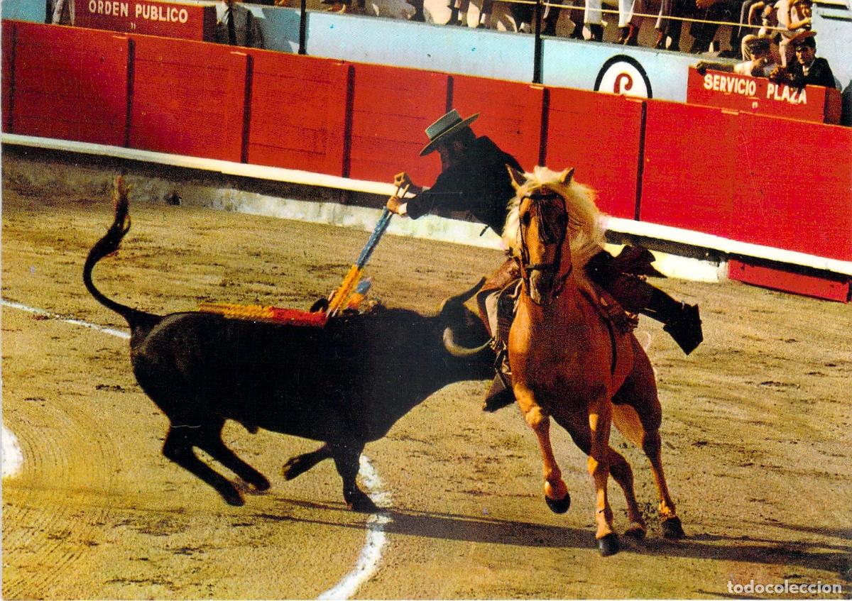 Tauromaquia: Postal de Tauromaquia: Alvaro Domecq, Rejoneo un Par al Estribo