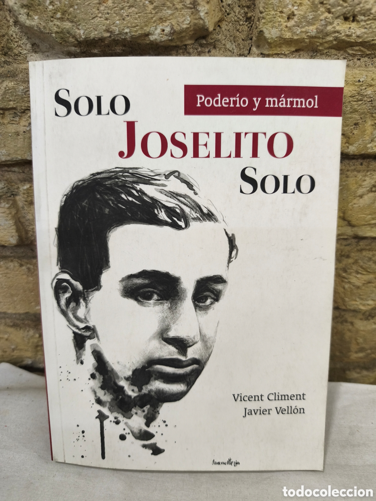 Tauromaquia: Solo Joselito solo, poder&iacute;o y Marmol