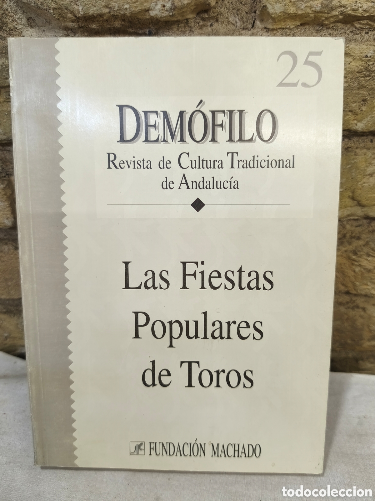 Tauromaquia: Las Fiestas Populares de Toros