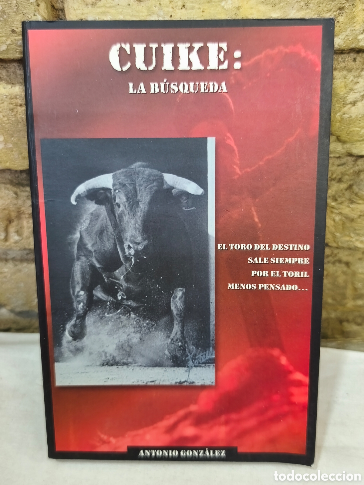 Tauromaquia: CUIKE: LA BUSQUEDA, Antonio Gonz&aacute;lez