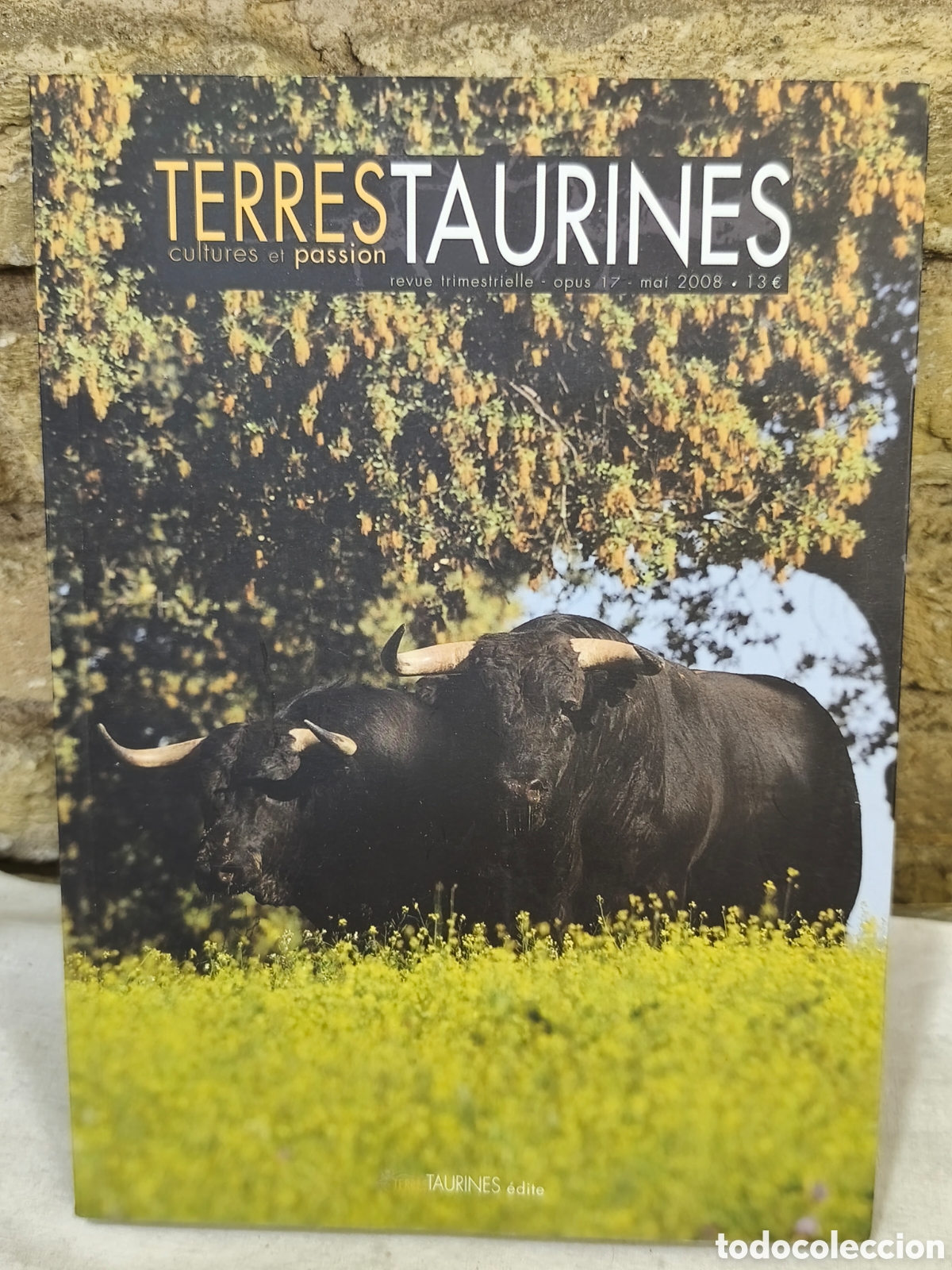 Tauromaquia: Terres taurines cultures et pasi&oacute;n