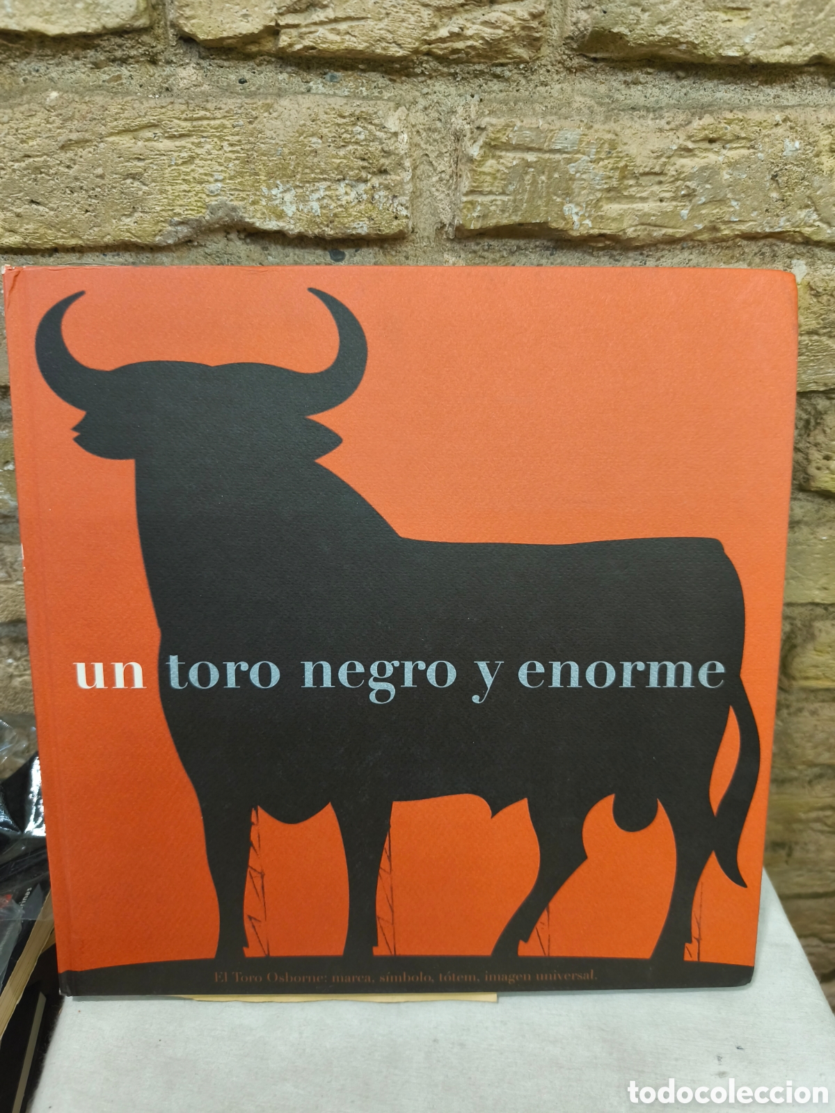 Bullfighting: un toro negro y enorme