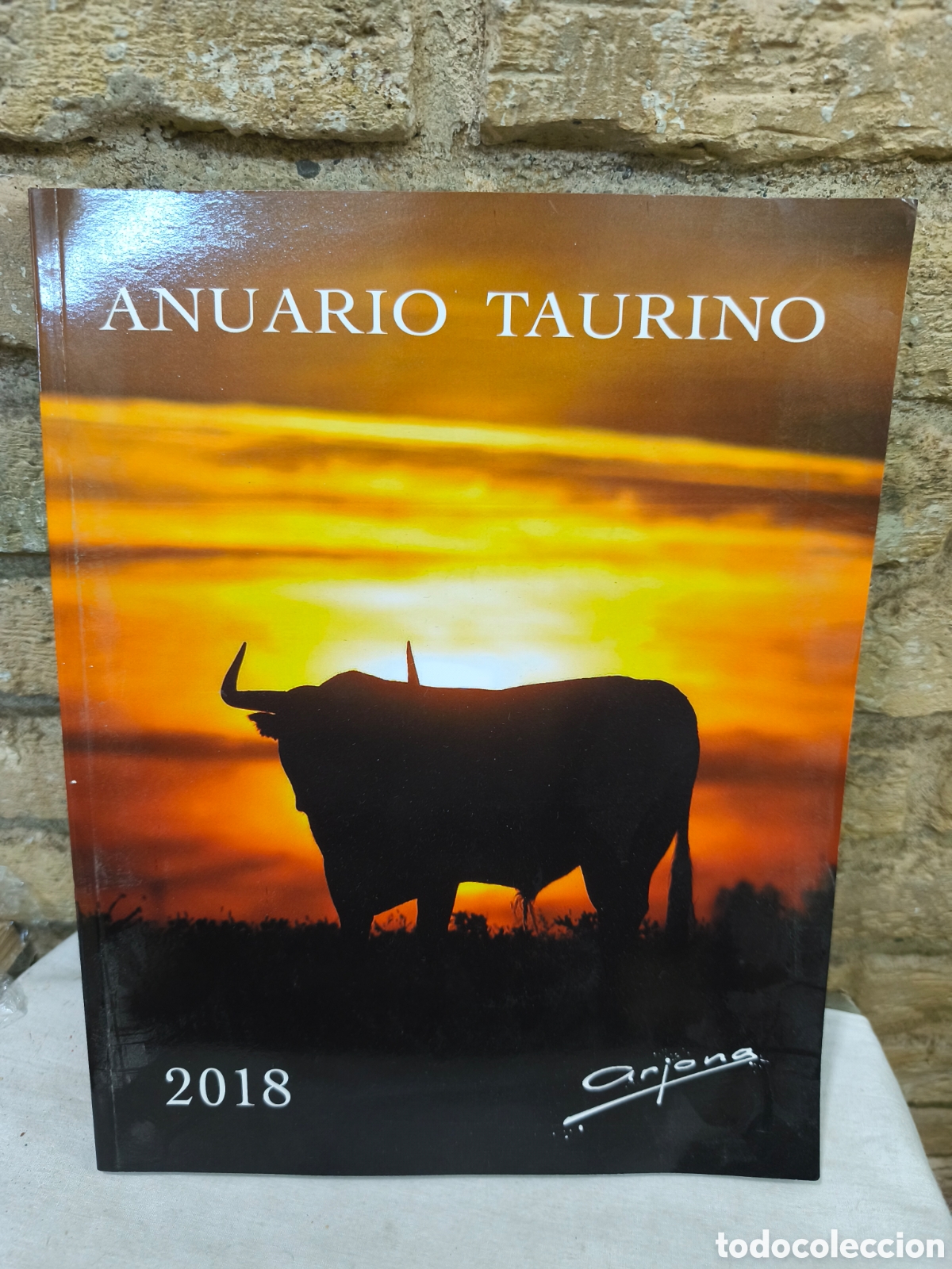Tauromaquia: Anuario taurino 2018 - Foto 1