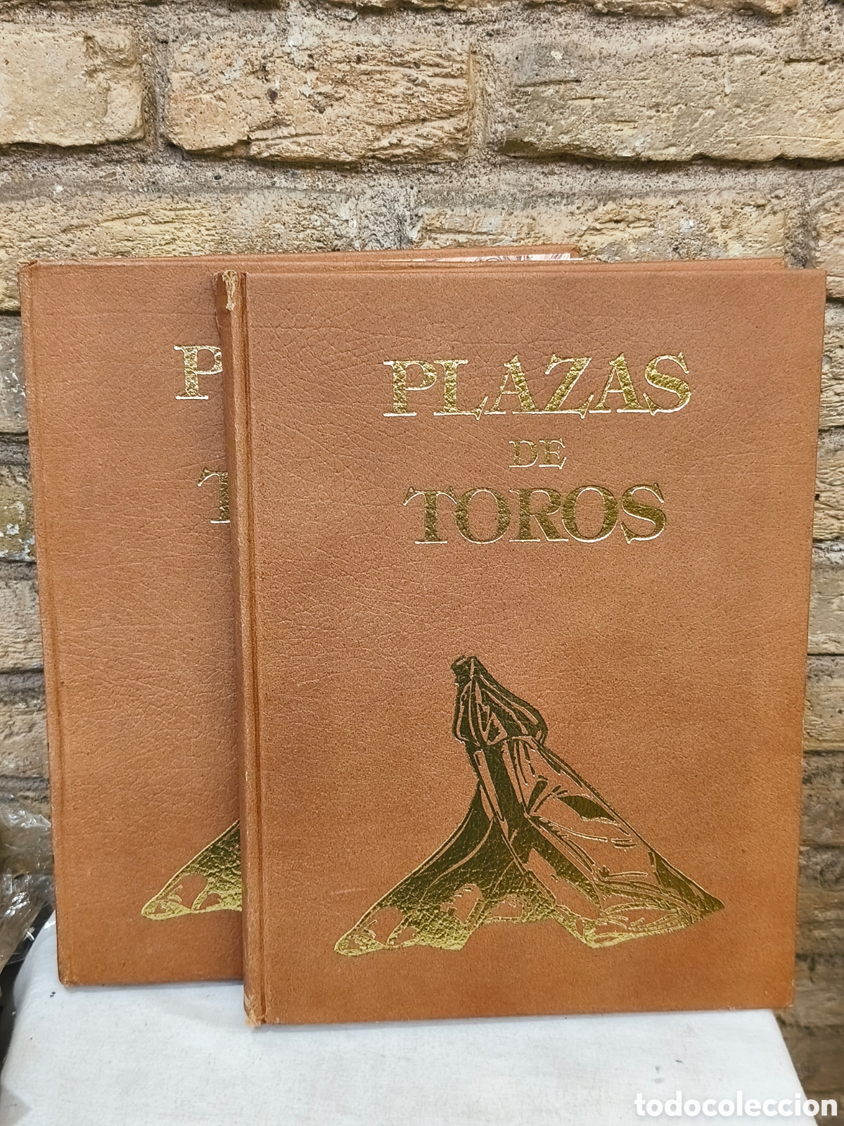 Tauromaquia: Plazas de toros 2 Tomos