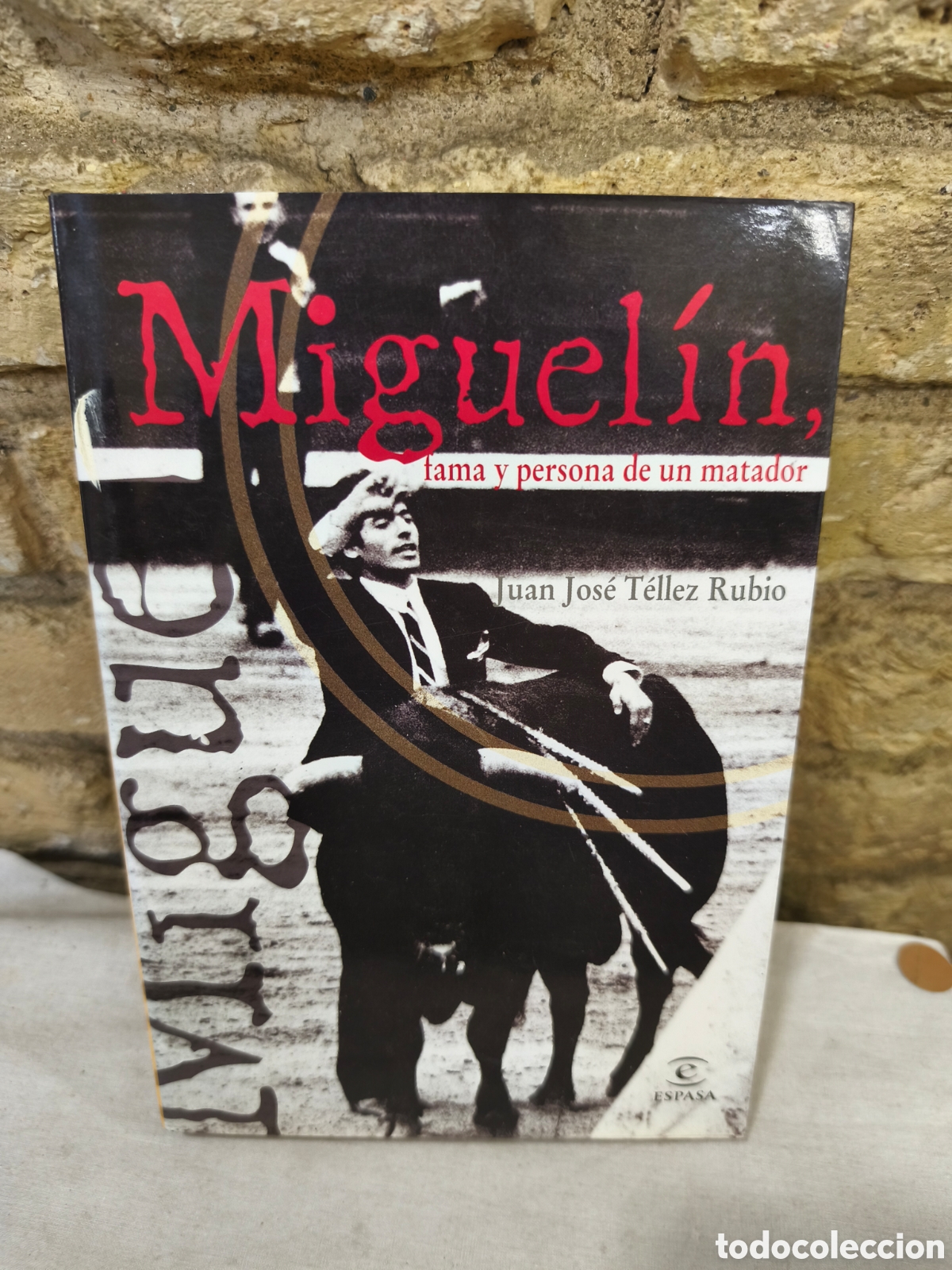 Tauromaquia: Miguel&iacute;n fama y persona de un matador