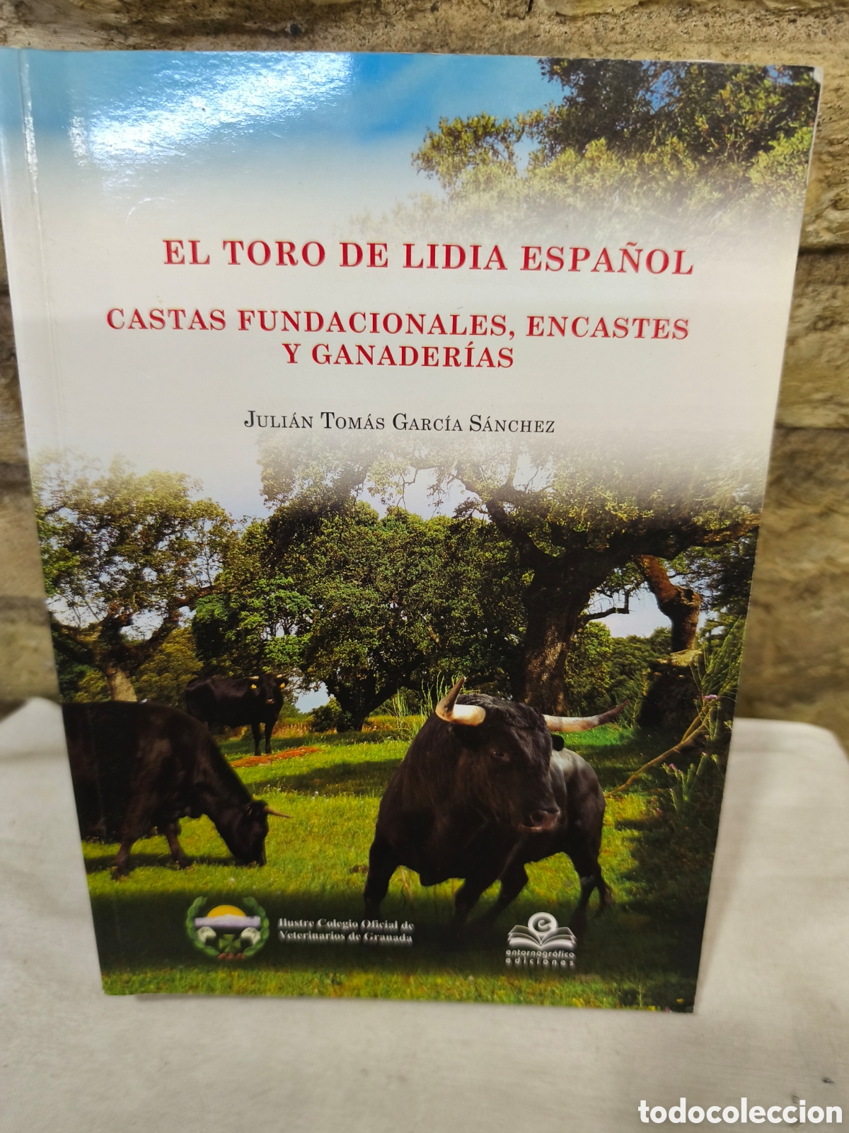 Tauromaquia: EL TORO DE LIDIA ESPA&Ntilde;OL CASTAS FUNDACIONALES, ENCASTES Y GANADER&Iacute;AS