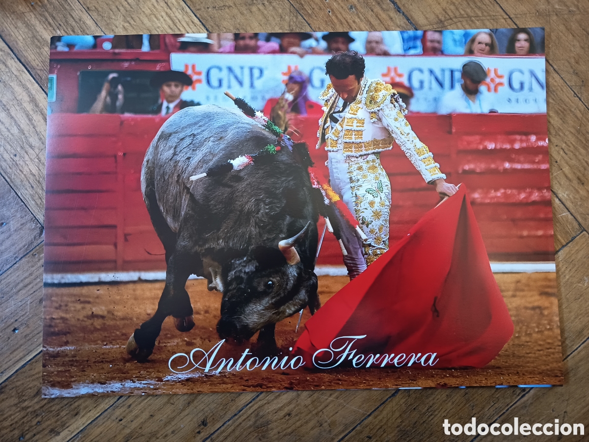 Tauromaquia: FOTO DEL TORERO ANTONIO FERRERA