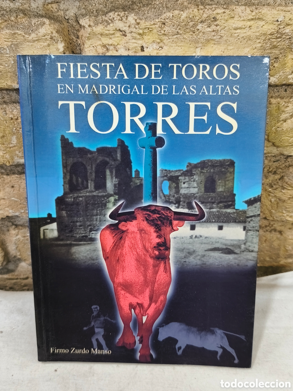Tauromaquia: FIESTA DE TOROS EN MADRIGAL DE LAS ALTAS TORRES