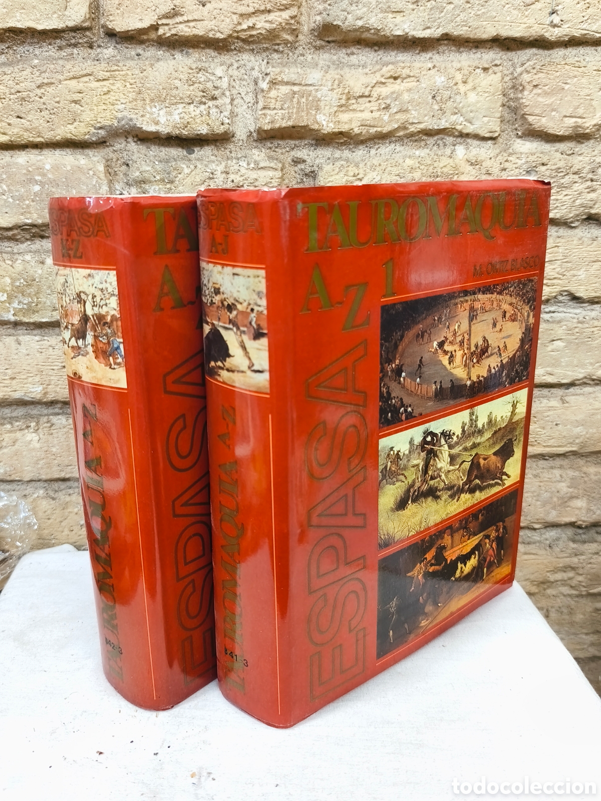 Tauromaquia: DICCIONARIO ENCICLOP&Eacute;DICO DE LA HISTORIA, LA T&Eacute;CNICA Y LA CULTURA DEI ARTE DEL TOREO