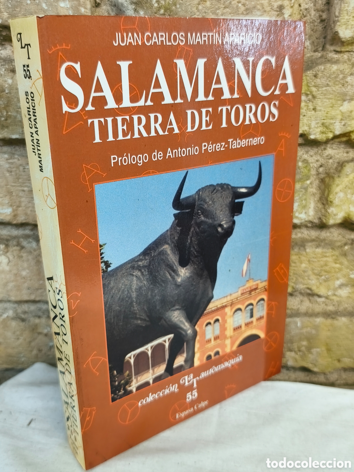 Tauromaquia: SAAMANCA TIERRA DE TOROS, Juan Carlos Mart&iacute;n Aparicio