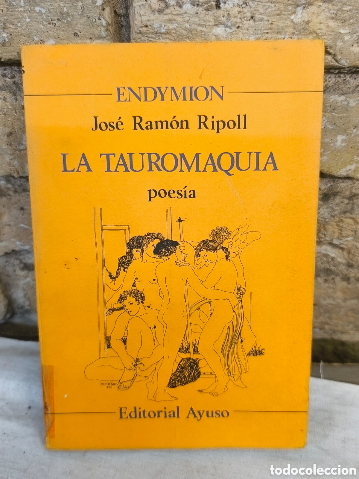 Stierkampf: Jos&eacute; Ram&oacute;n Ripoll LA TAUROMAQUIA poes&iacute;a