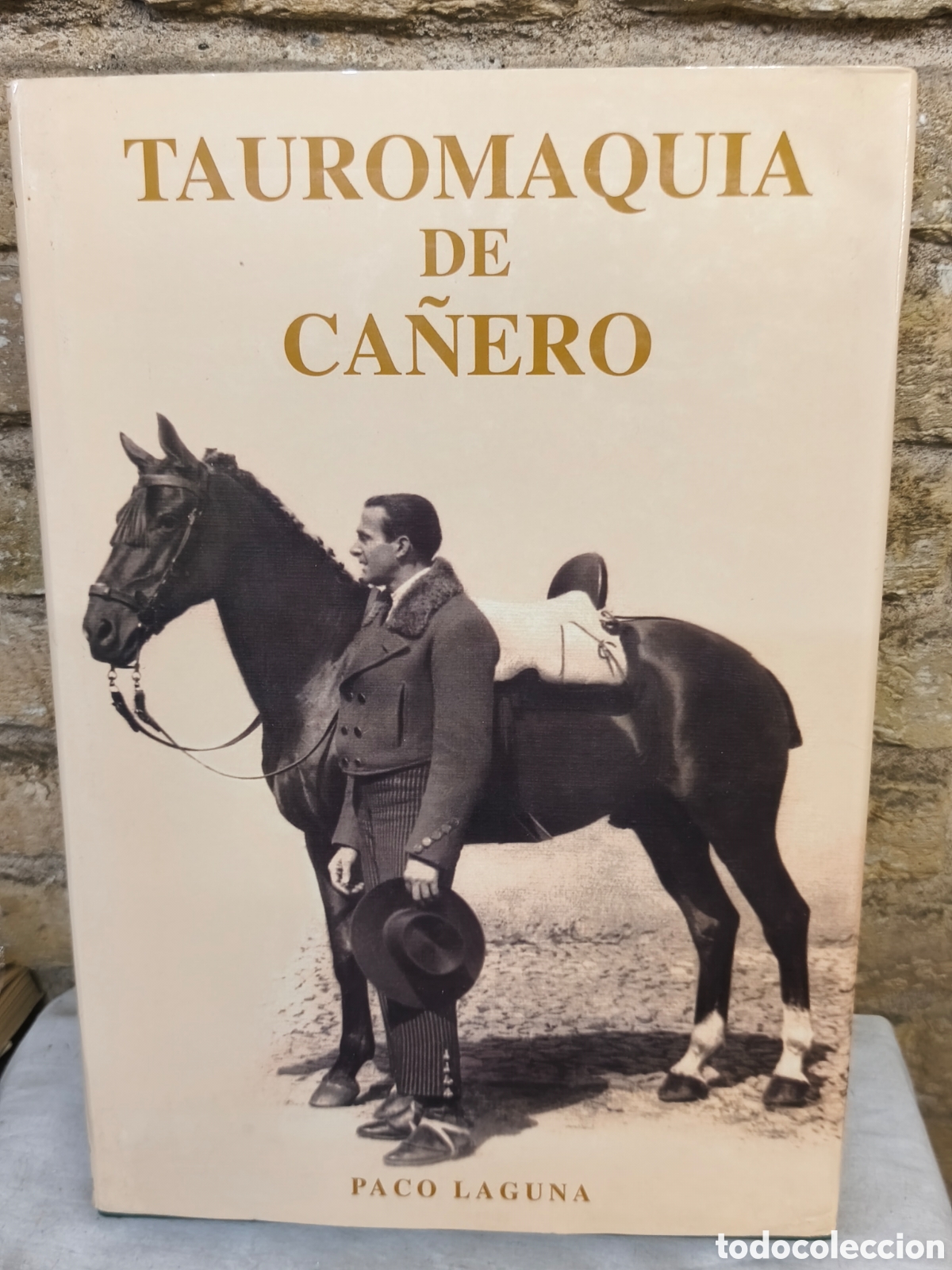 Tauromaquia: TAUROMAQUIA DE CA&Ntilde;ERO