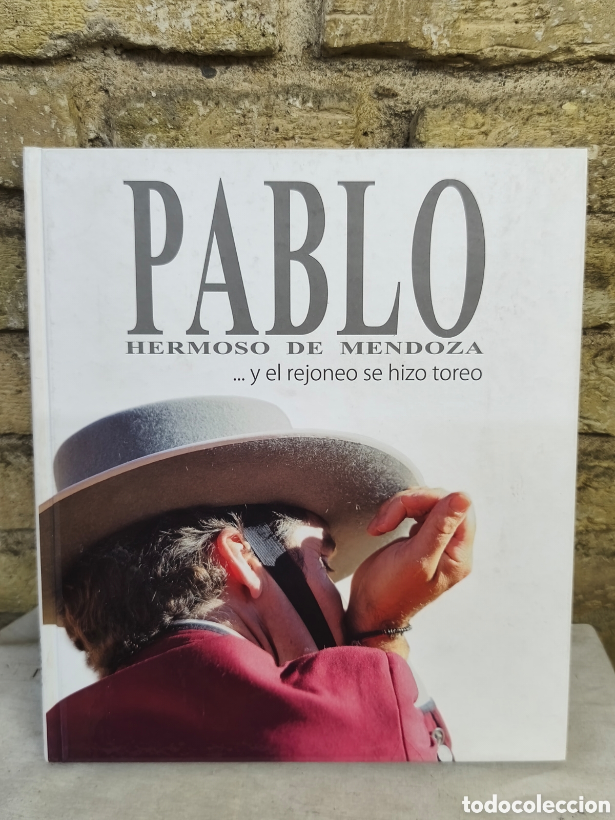 Tauromaquia: PABLO HERMOSO DE MENDOZA ...y el rejoneo se hizo toreo