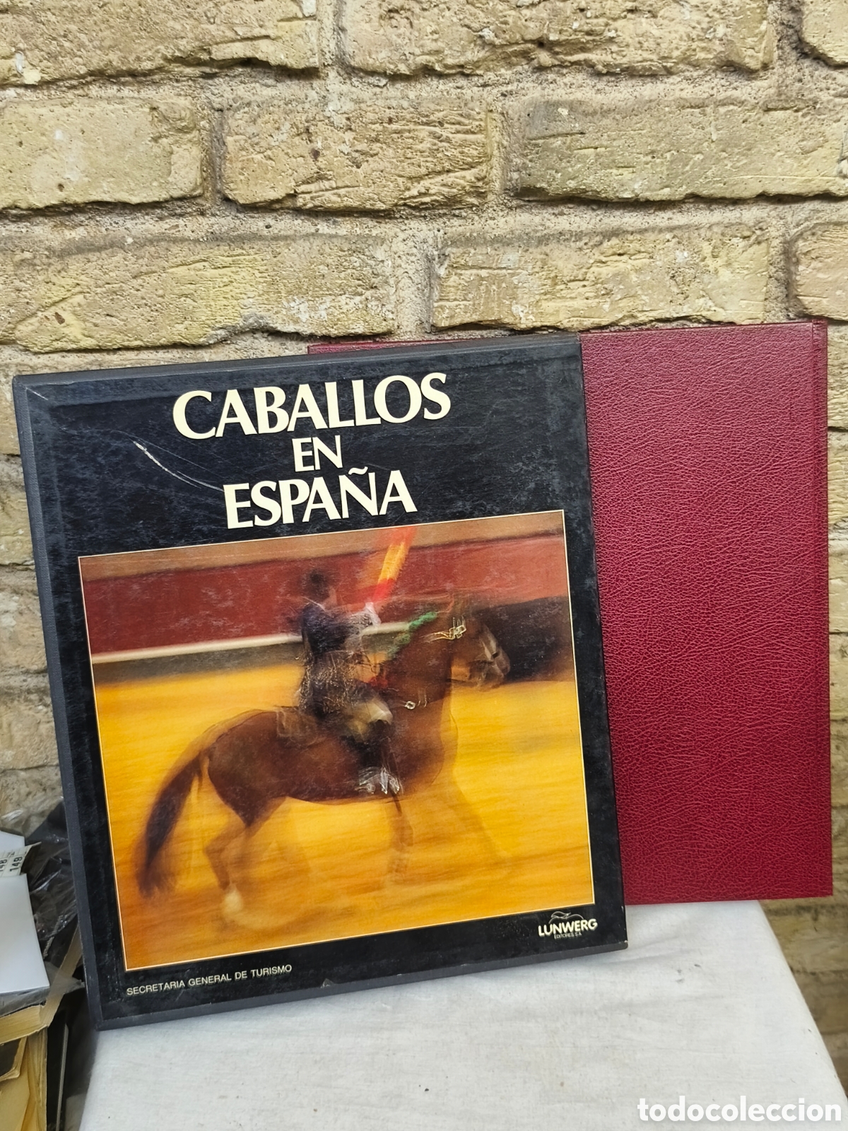 Tauromaquia: Libro Caballos en Espa&ntilde;a