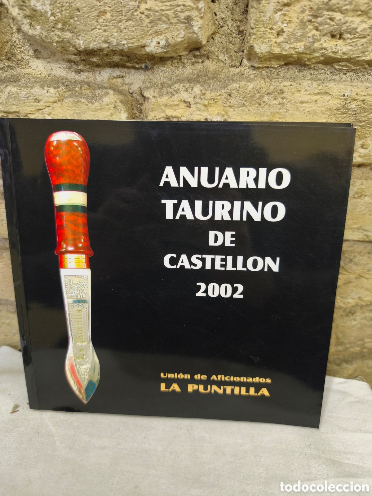 Tauromaquia: ANUARIO TAURINO DE CASTELLON 2002