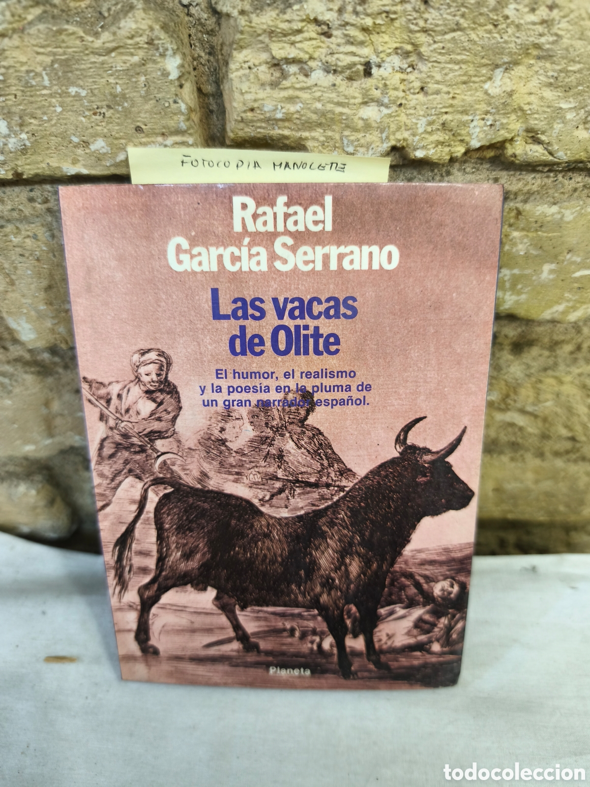 Tauromaquia: Rafael Garcia Serrano Las vacas de Olite