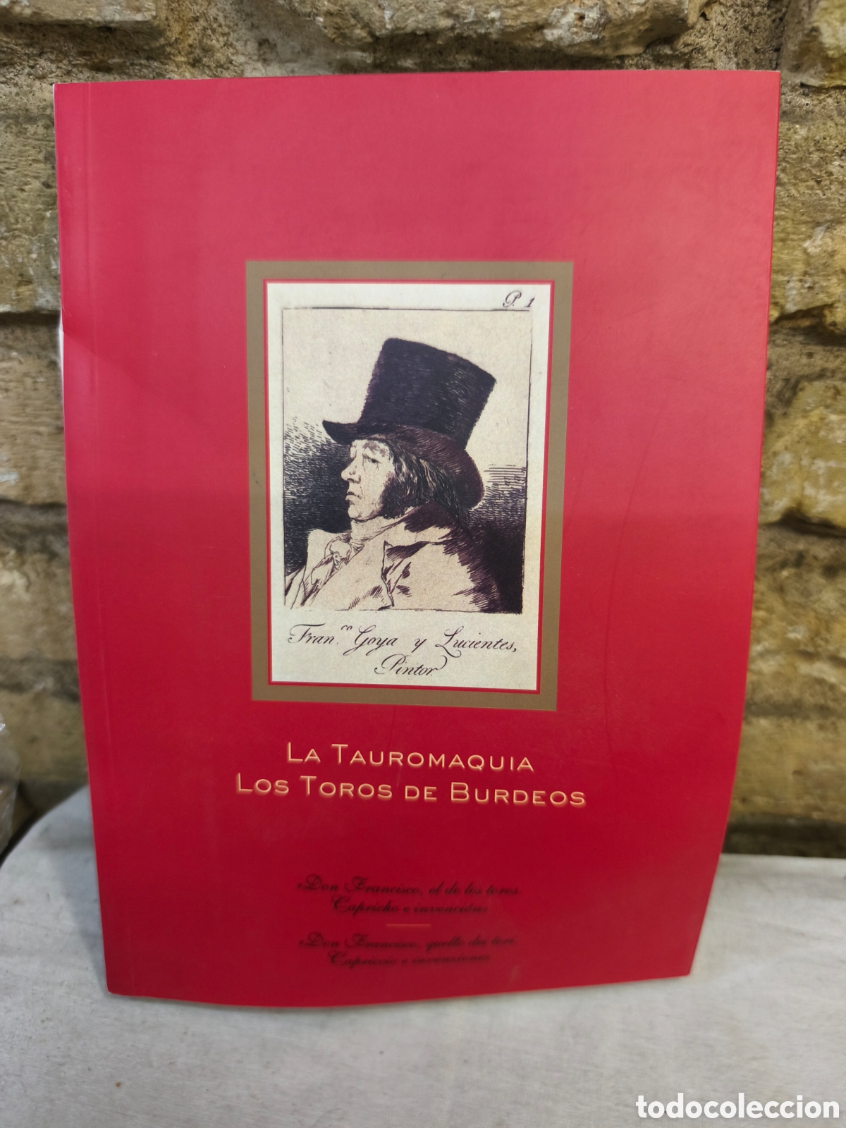 Tauromaquia: LA TAUROMAQUIA LOS TOROS DE BURDEOS