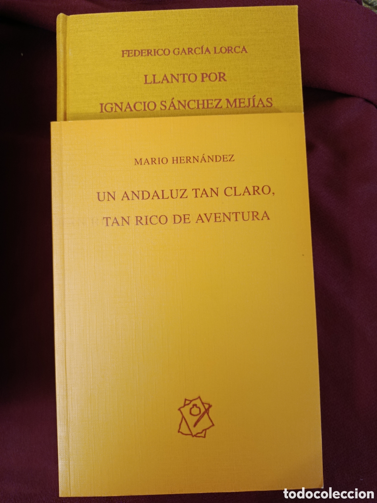 Tauromaquia: LLANTO POR IGNACIO S&Aacute;NCHEZ MEJ&Iacute;AS. UN ANDALUZ TAN CLARO, TAN RICO DE AVENTURA