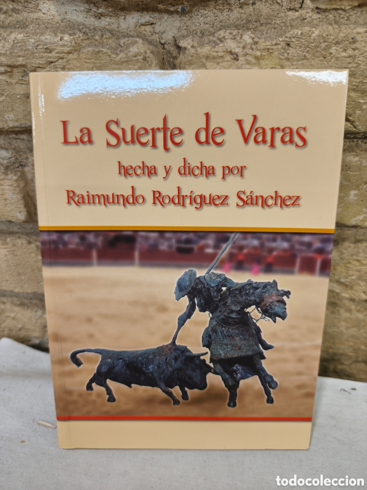 Tauromaquia: La Suerte de Varas hecha y dicha por Raimundo Rodr&iacute;guez S&aacute;nchez