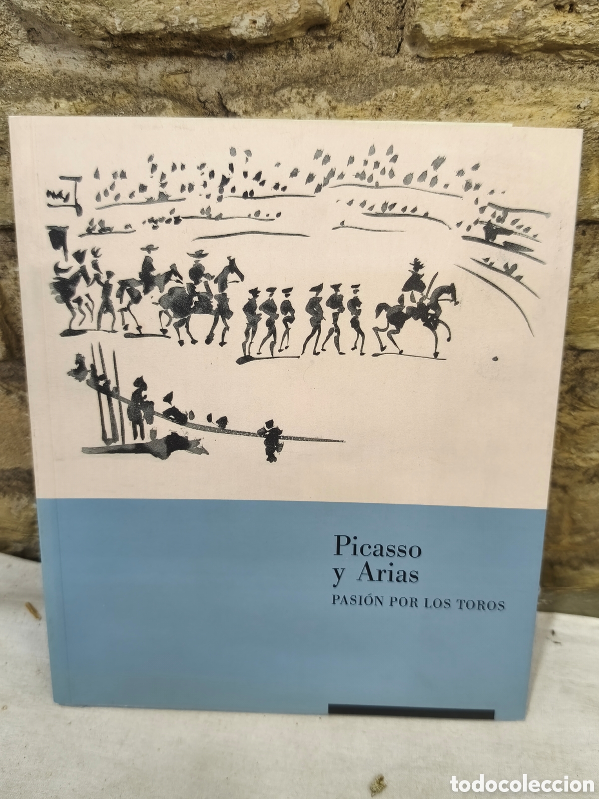 Tauromaquia: Picasso y Arias Pasi&oacute;n por los toros