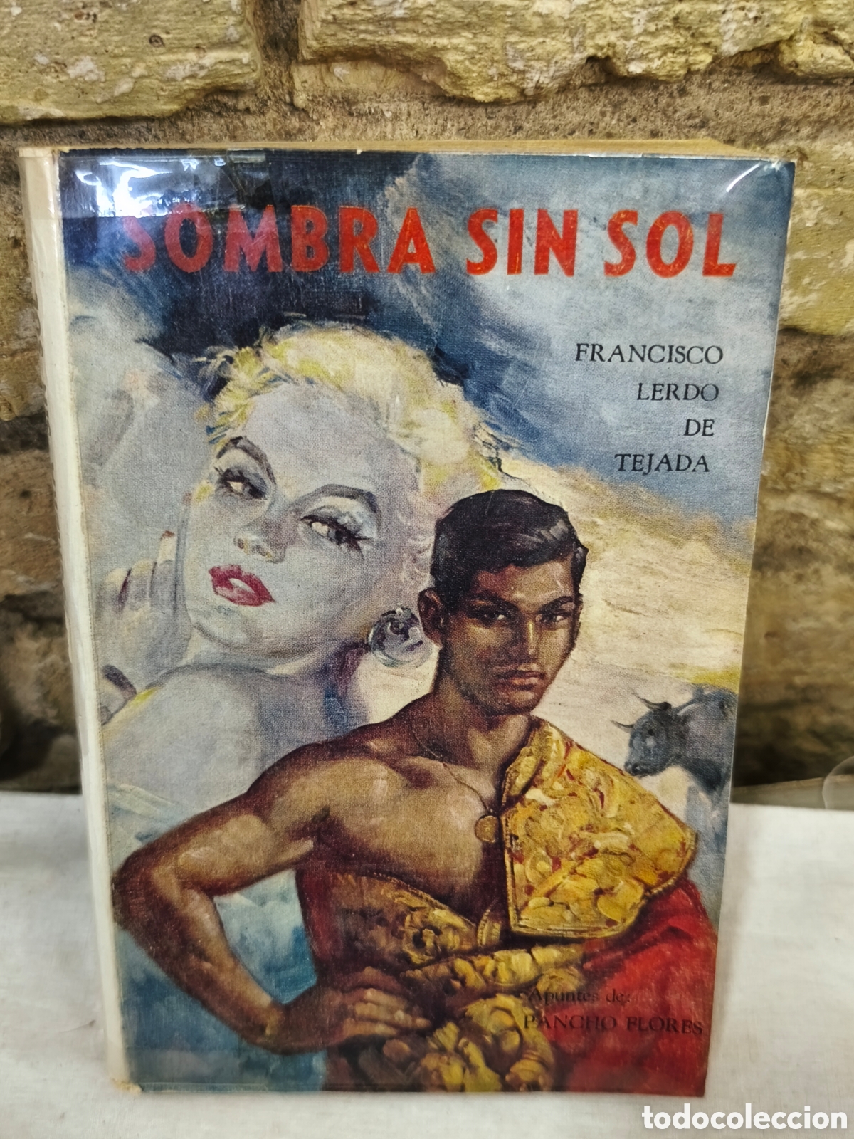 Tauromaquia: FRANCISCO LERDO DE TEJADA SOMBRA SIN SOL