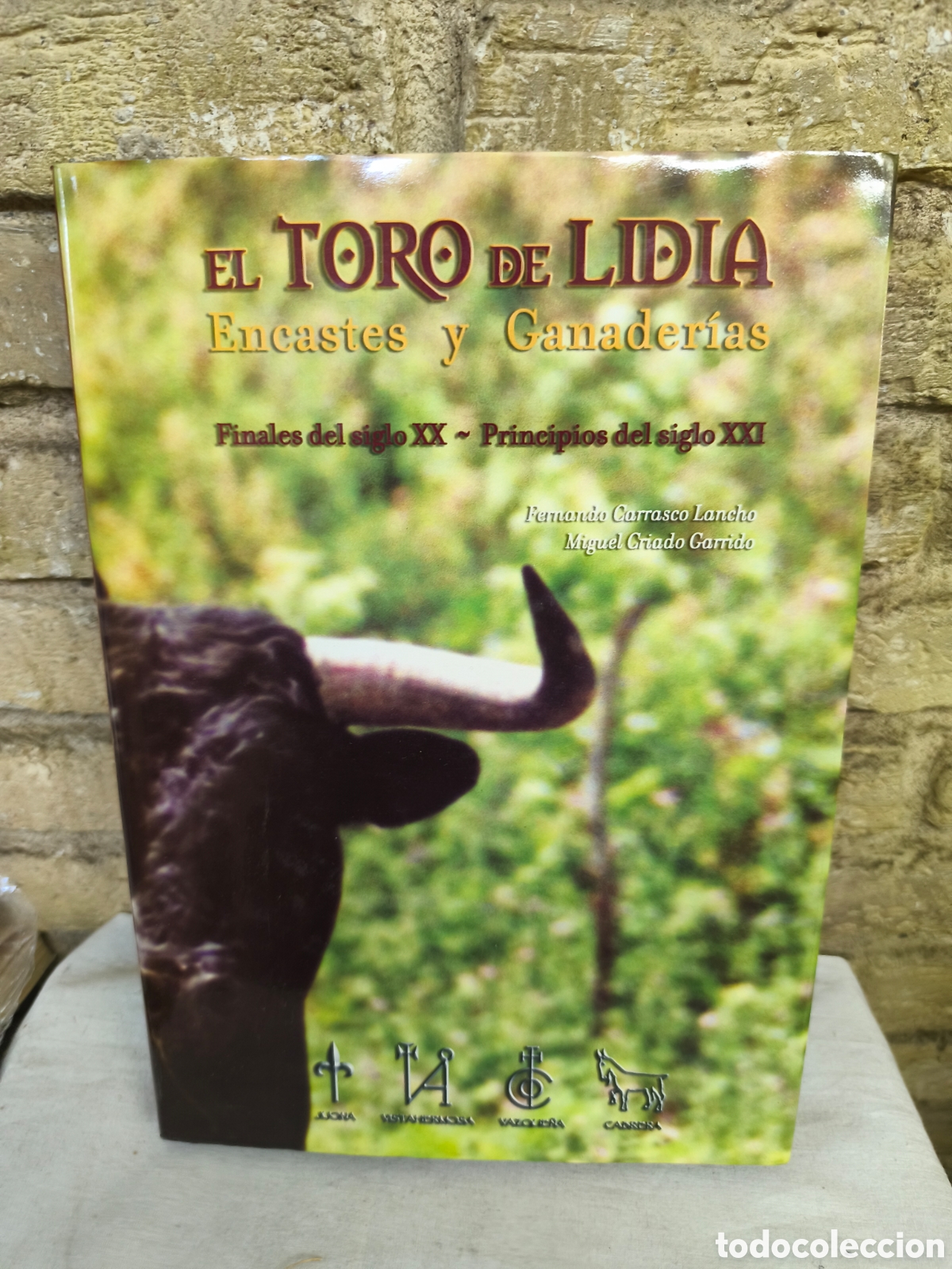 Tauromaquia: EL TORO DE LIDIA Encastes y Ganader&iacute;as