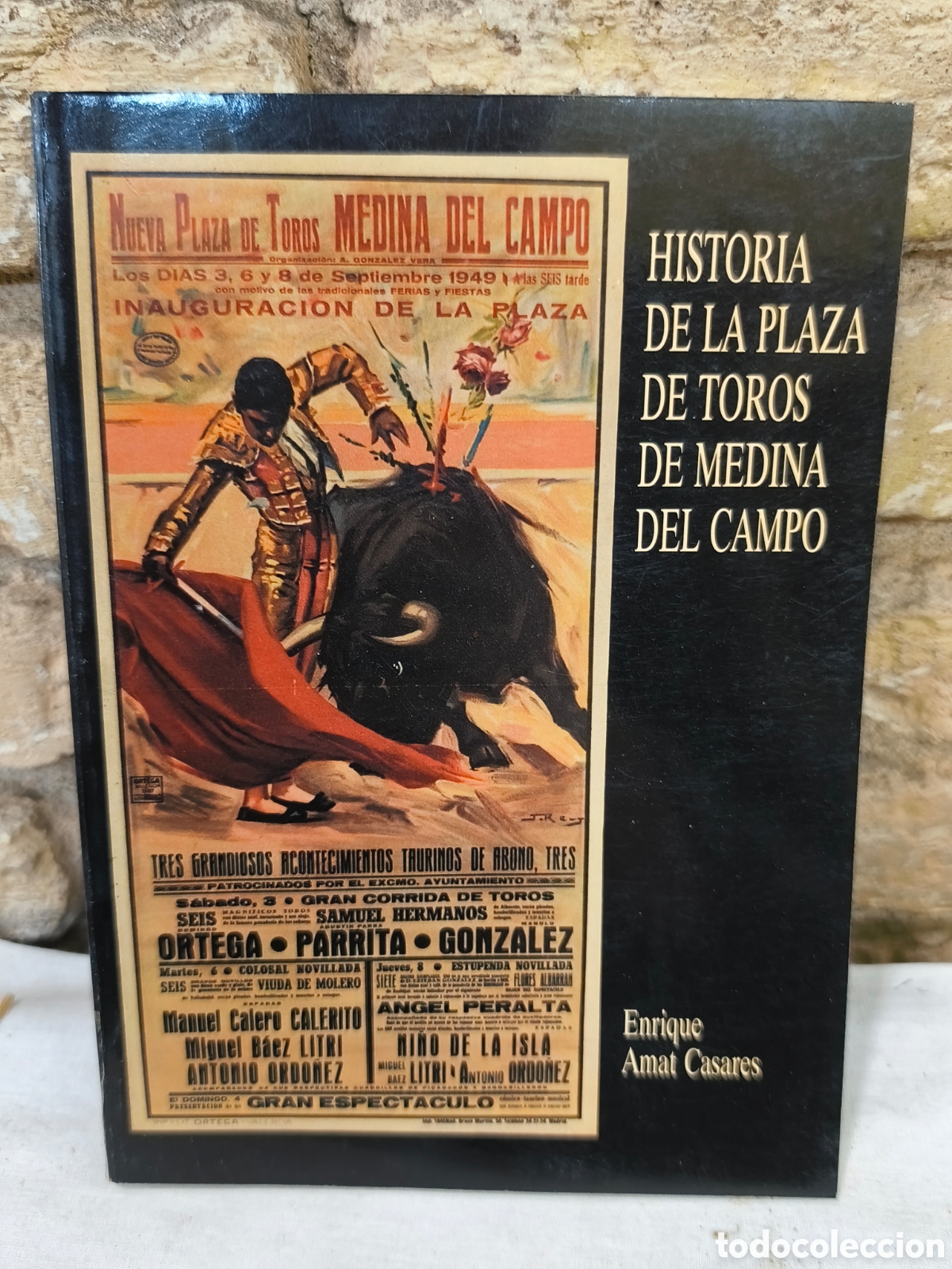 Tauromaquia: HISTORIA DE LA PLAZA DE TOROS DE MEDINA DEL CAMPO