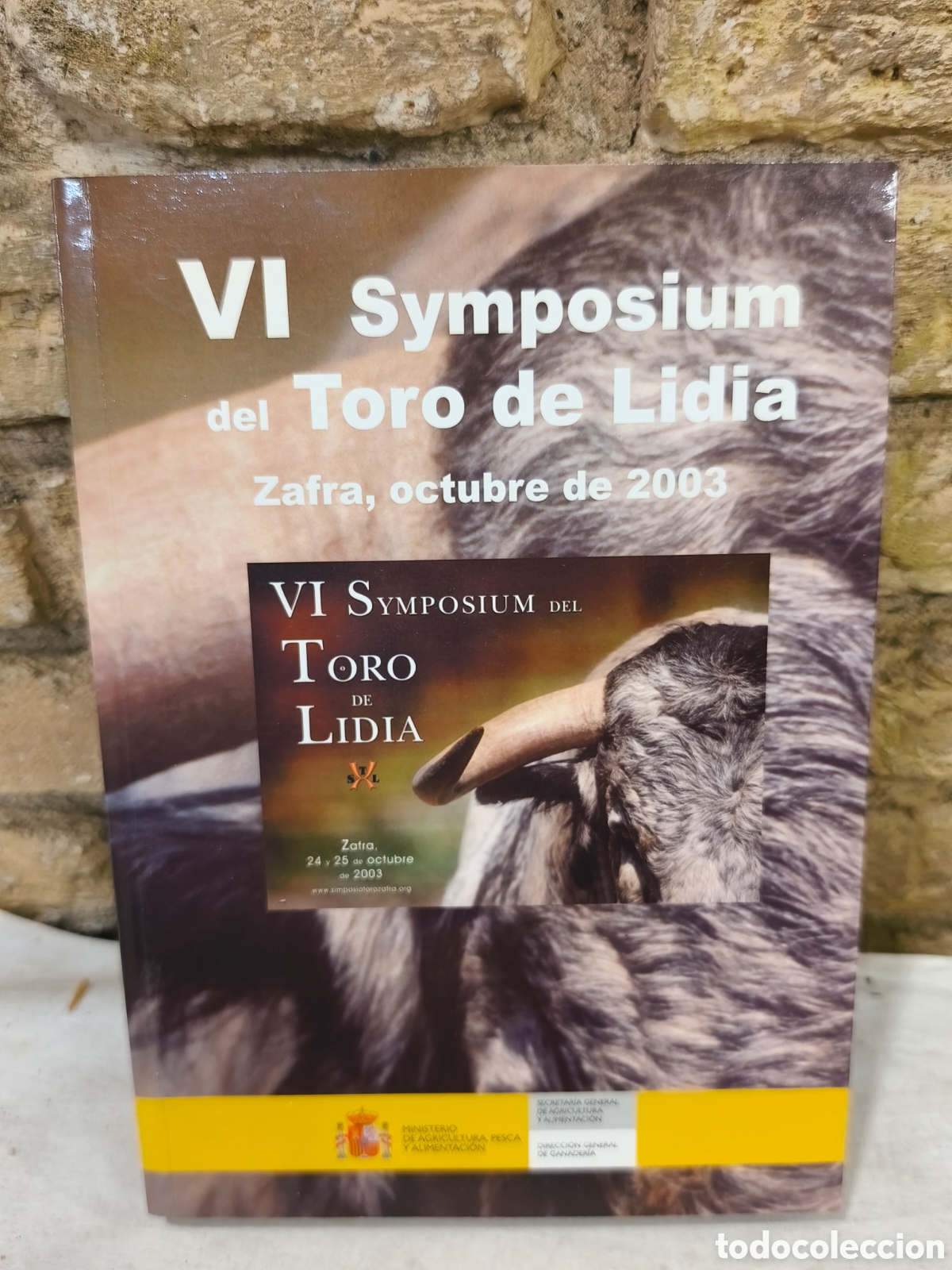 Tauromaquia: VI SYMPOSIUM DEL TORO DE LIDIA