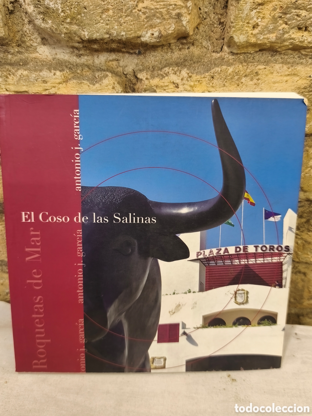 Tauromaquia: EI Coso de las Salinas
