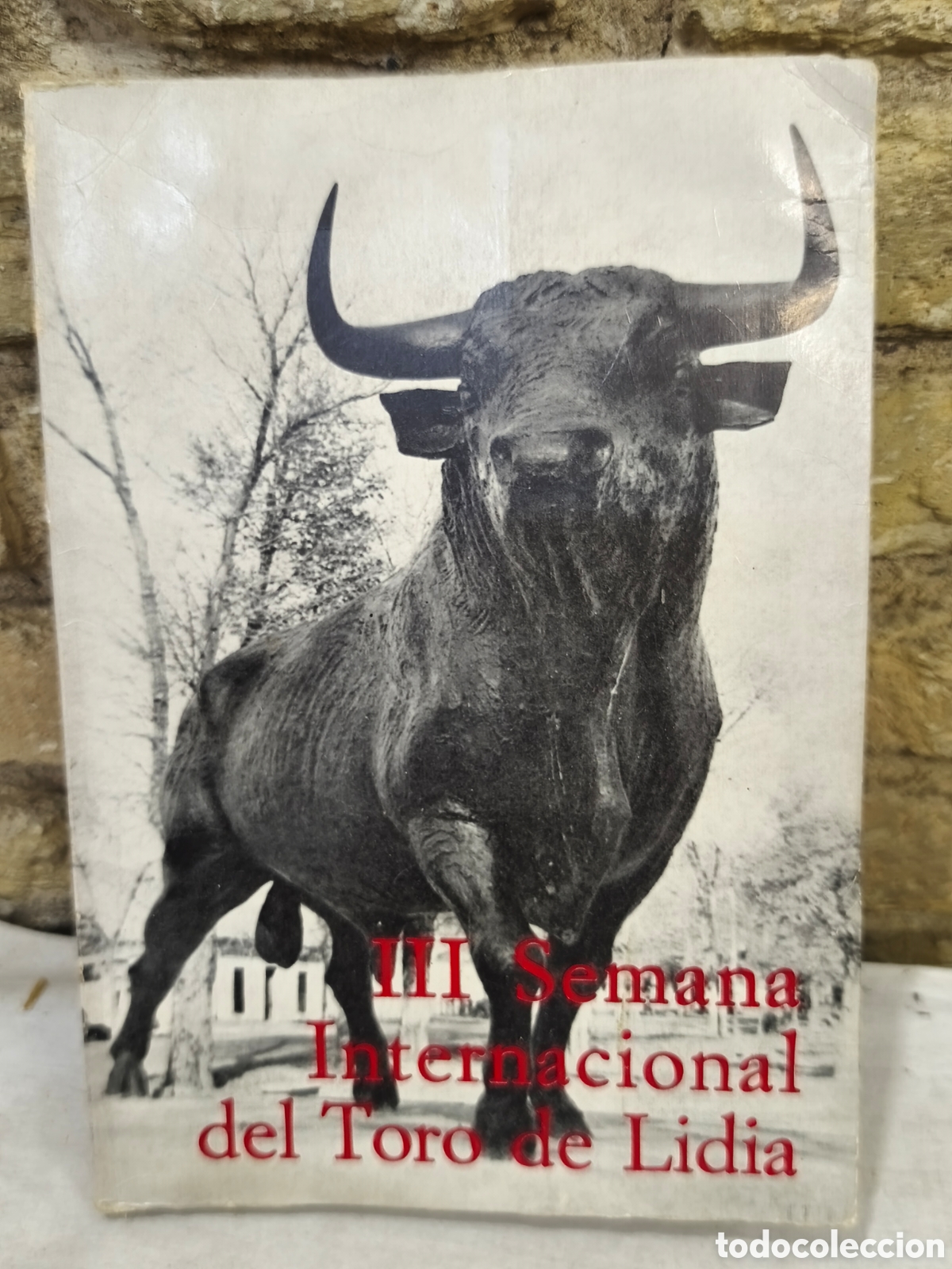Tauromaquia: III Semana Internacional del Toro de Lidia