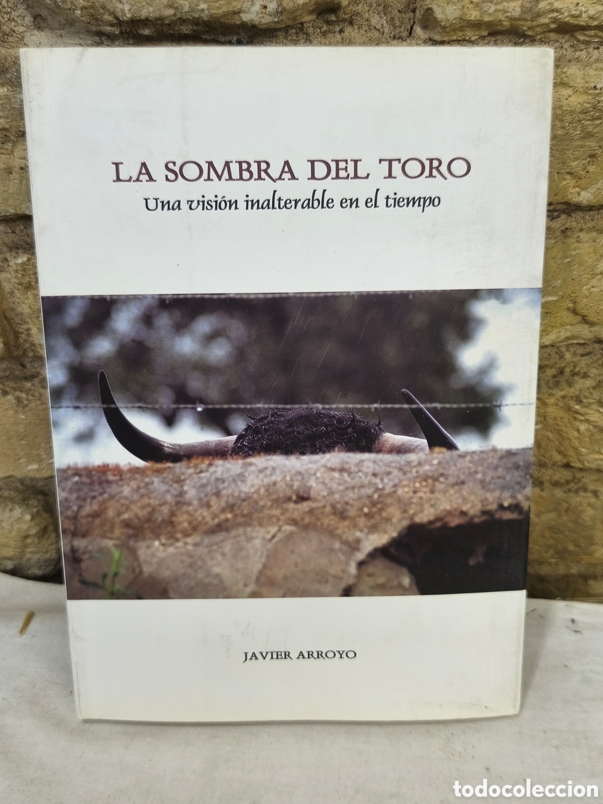 Tauromaquia: LA SOMBRA DEL TORO Una visi&oacute;n inalterable en el tiempo