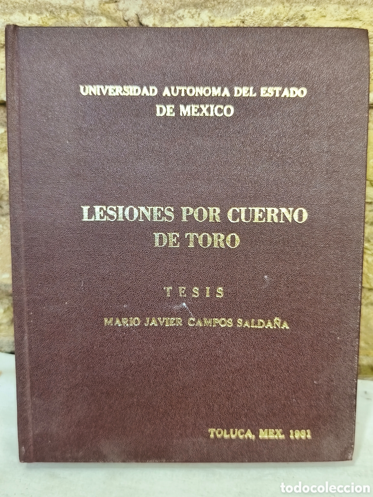 Tauromaquia: LESIONES POR CUERNO DE TORO, MEXICO 1981